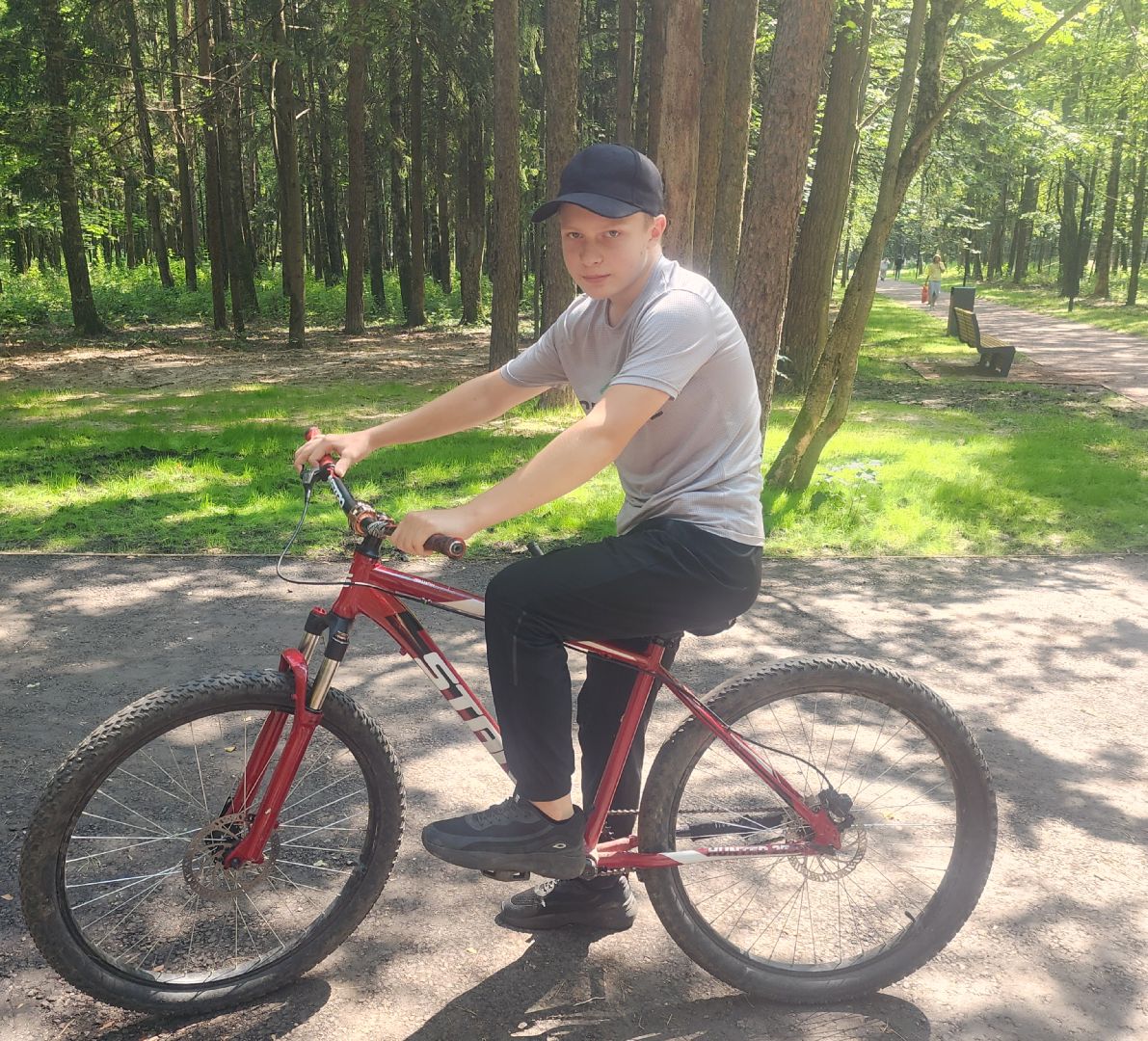 Благоустройство , Супоневский лесопарк , Отдых в Звенигороде , Туризм ,