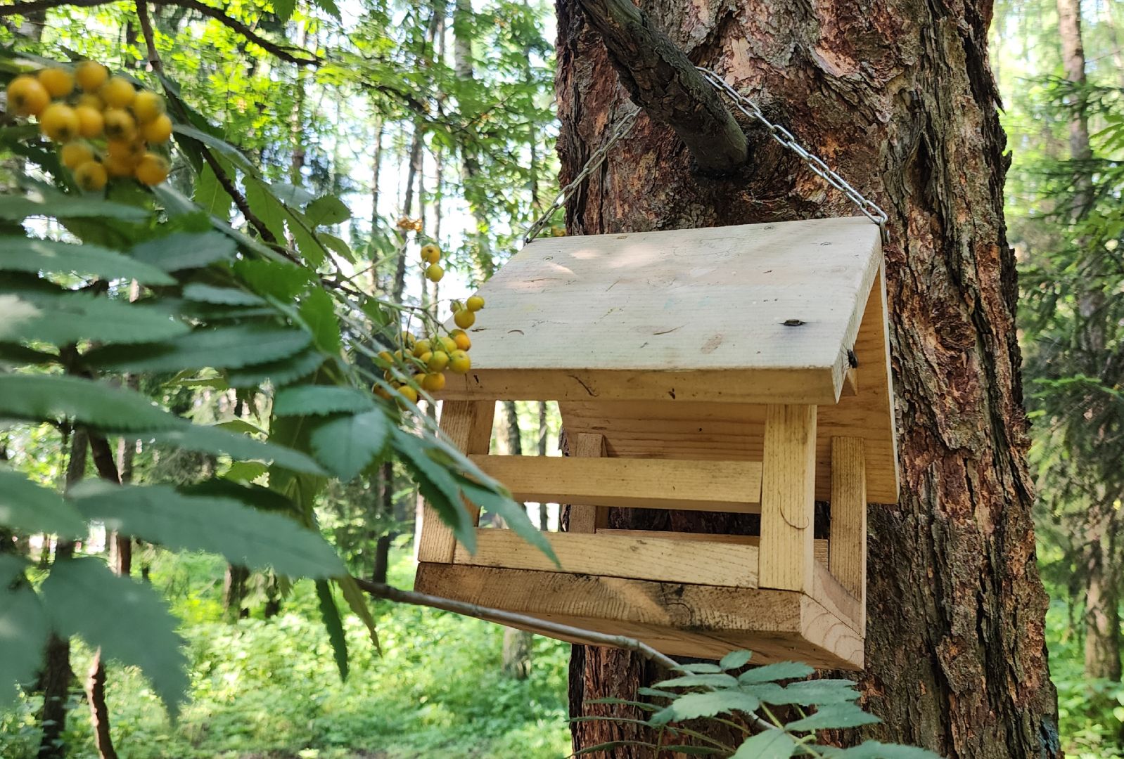 Благоустройство , Супоневский лесопарк , Отдых в Звенигороде , Туризм ,