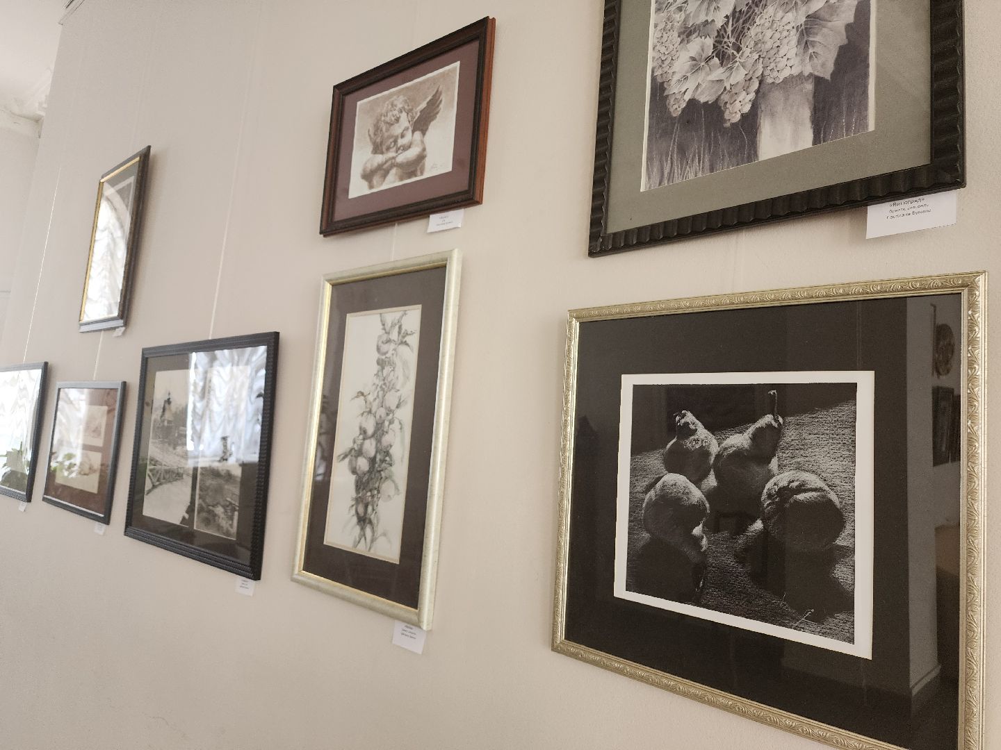 фрязино, художественная выставка, художник, живопись, открытие выставки,