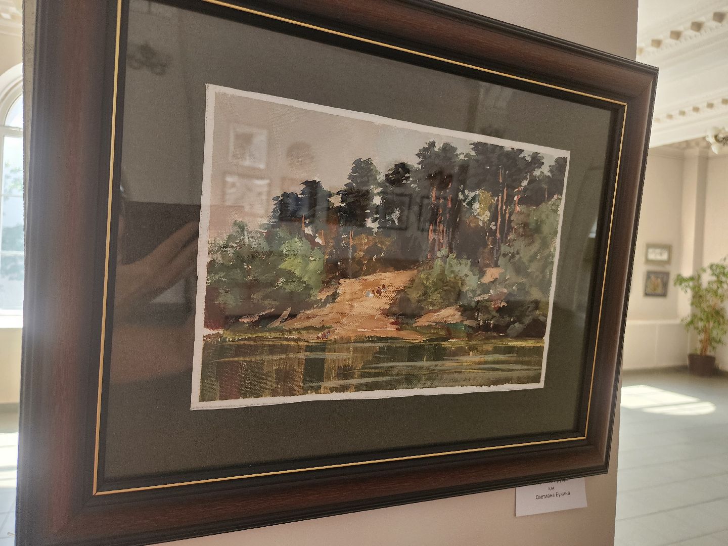 фрязино, художественная выставка, художник, живопись, открытие выставки,