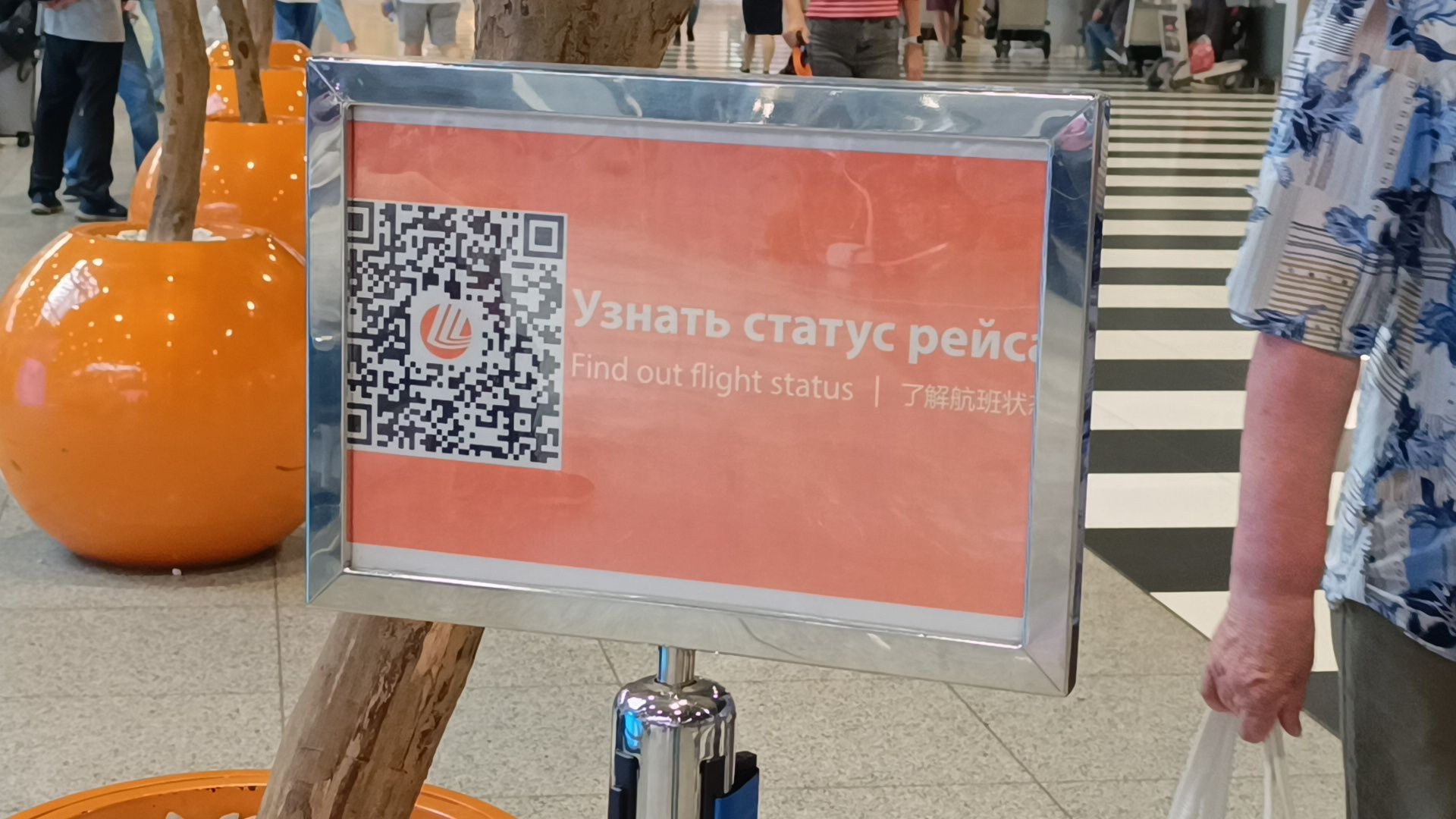 шереметьево, лобня, химки,