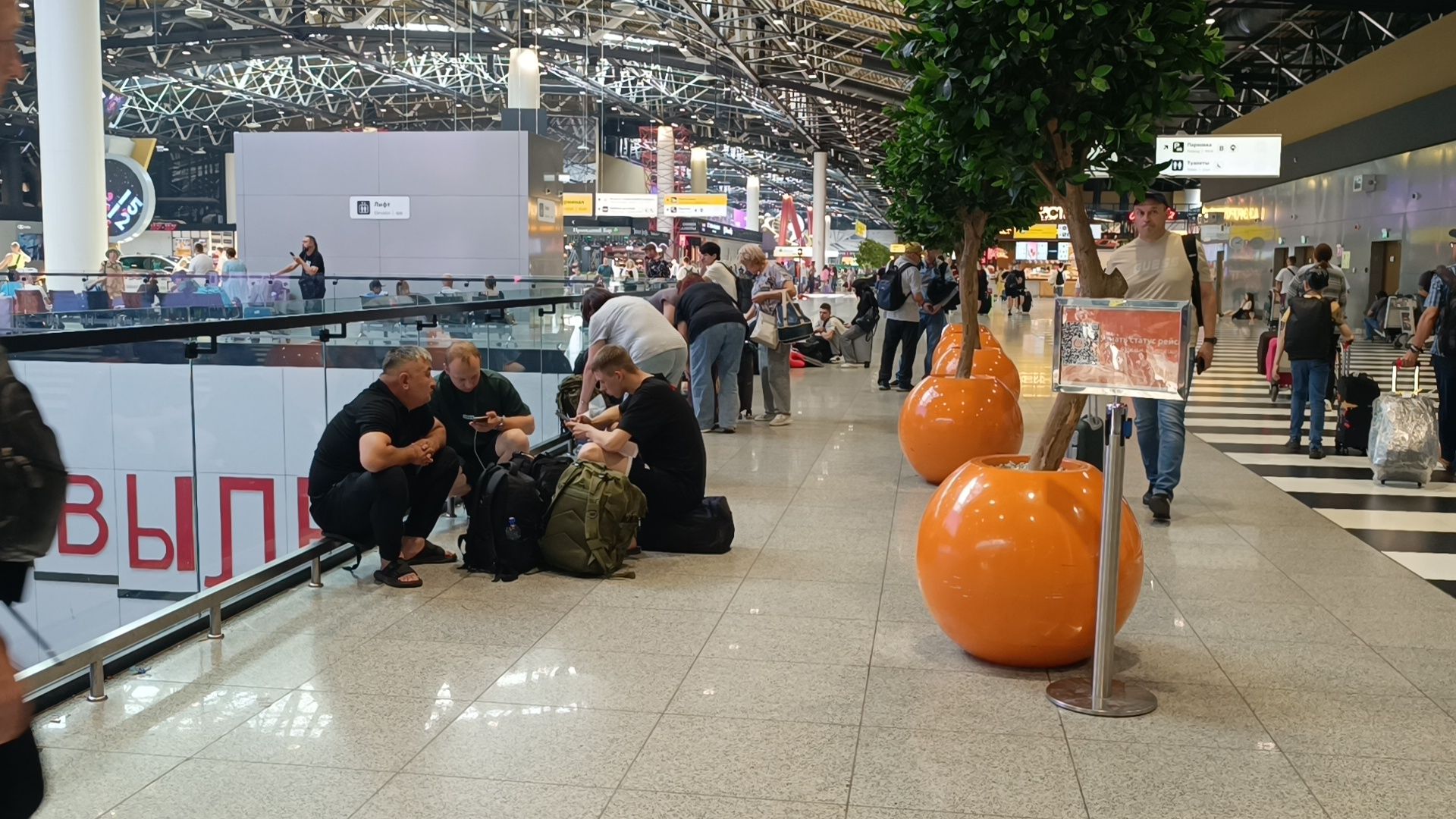 шереметьево, лобня, химки,