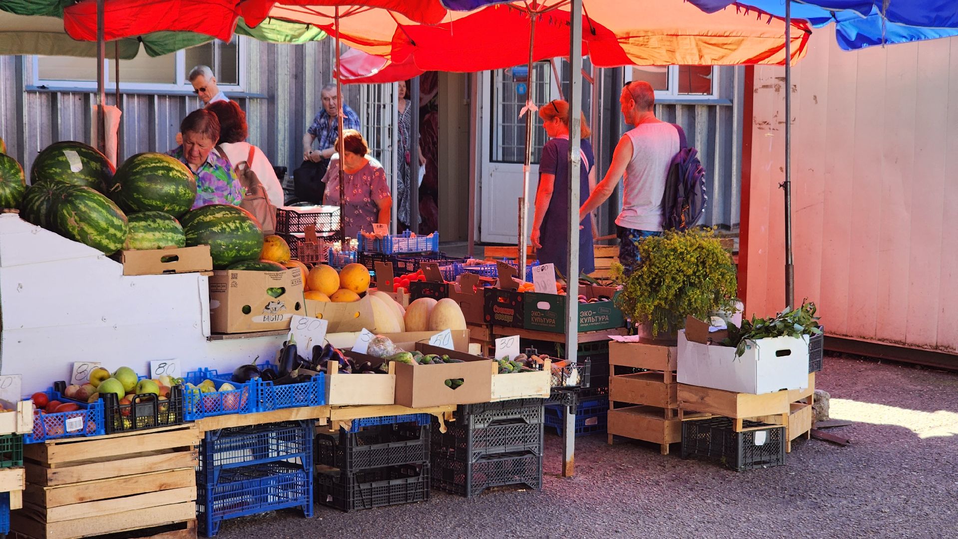 сезон арбузов, протвино, городской рынок,