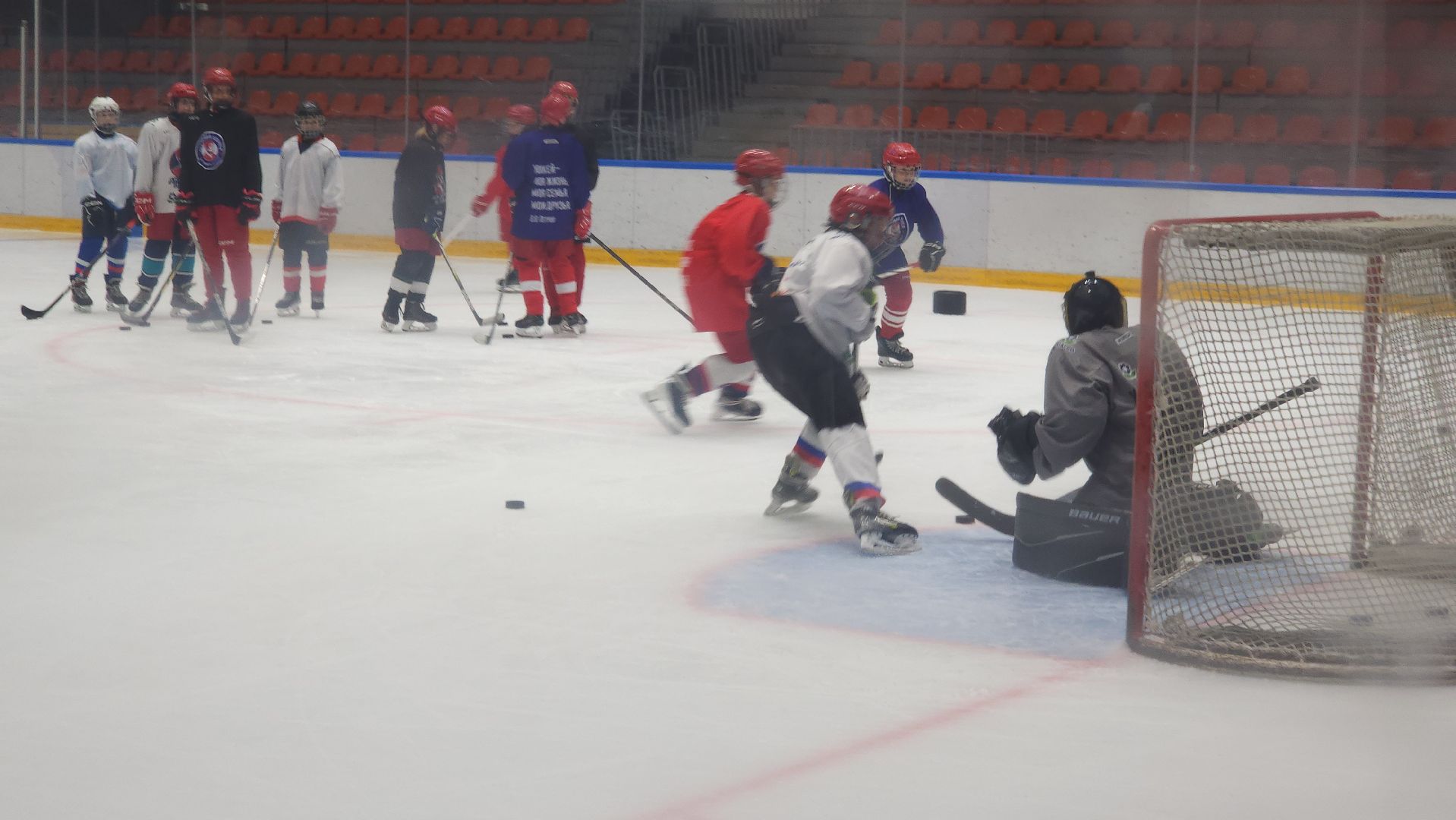 красногорск, хоккей, кубок овечкина, арена имени петрова,