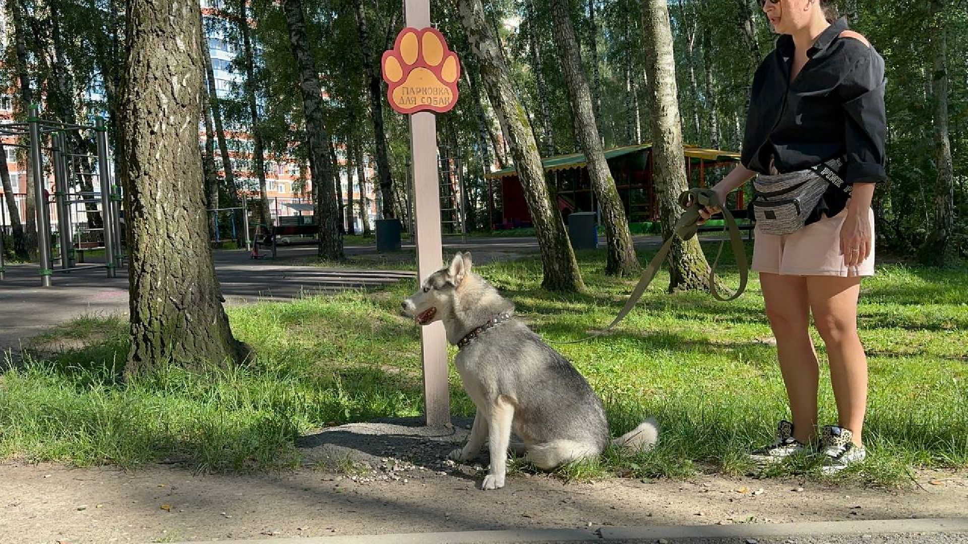 парки, домашние животные, домодедово,