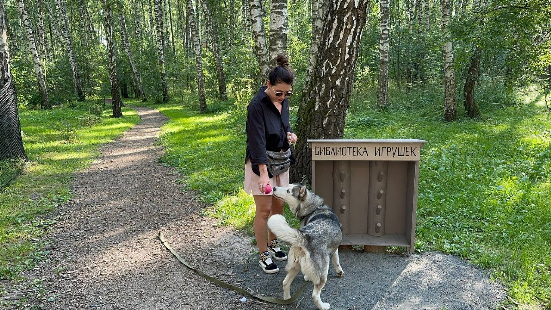 парки, домашние животные, домодедово,