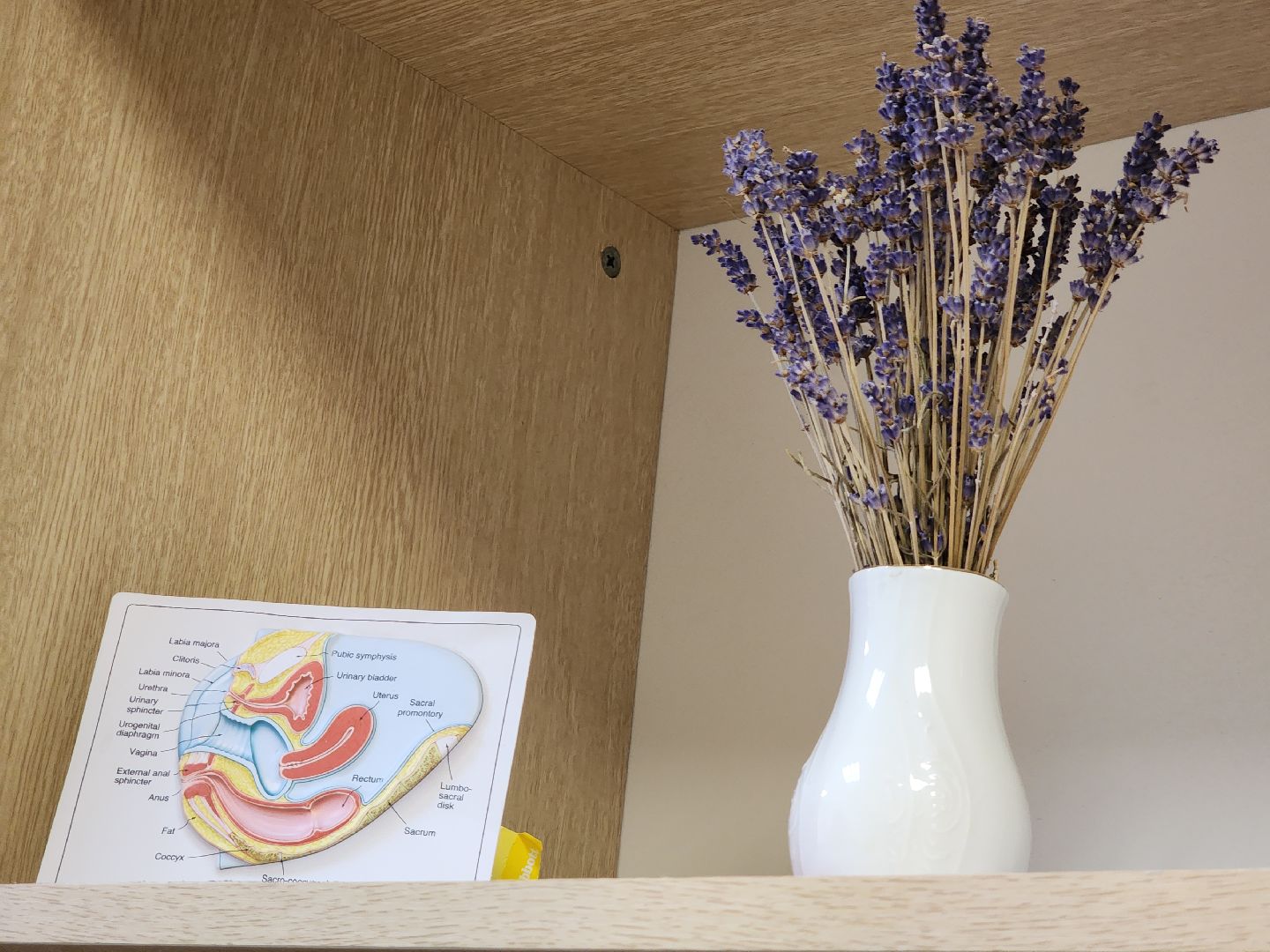 Егорьевск , Подмосковье , Московская область ,