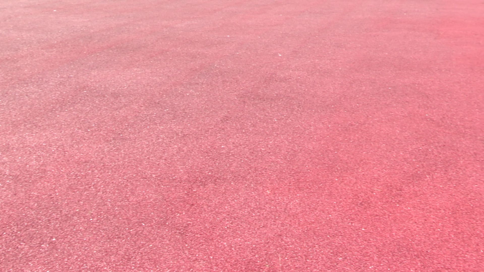 реутов, стадион, спорт, старт,