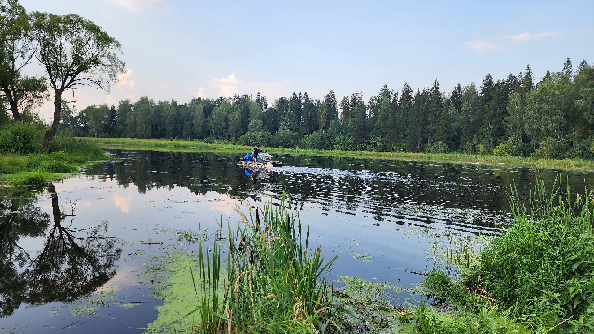 истра, экология, очистка водоема,