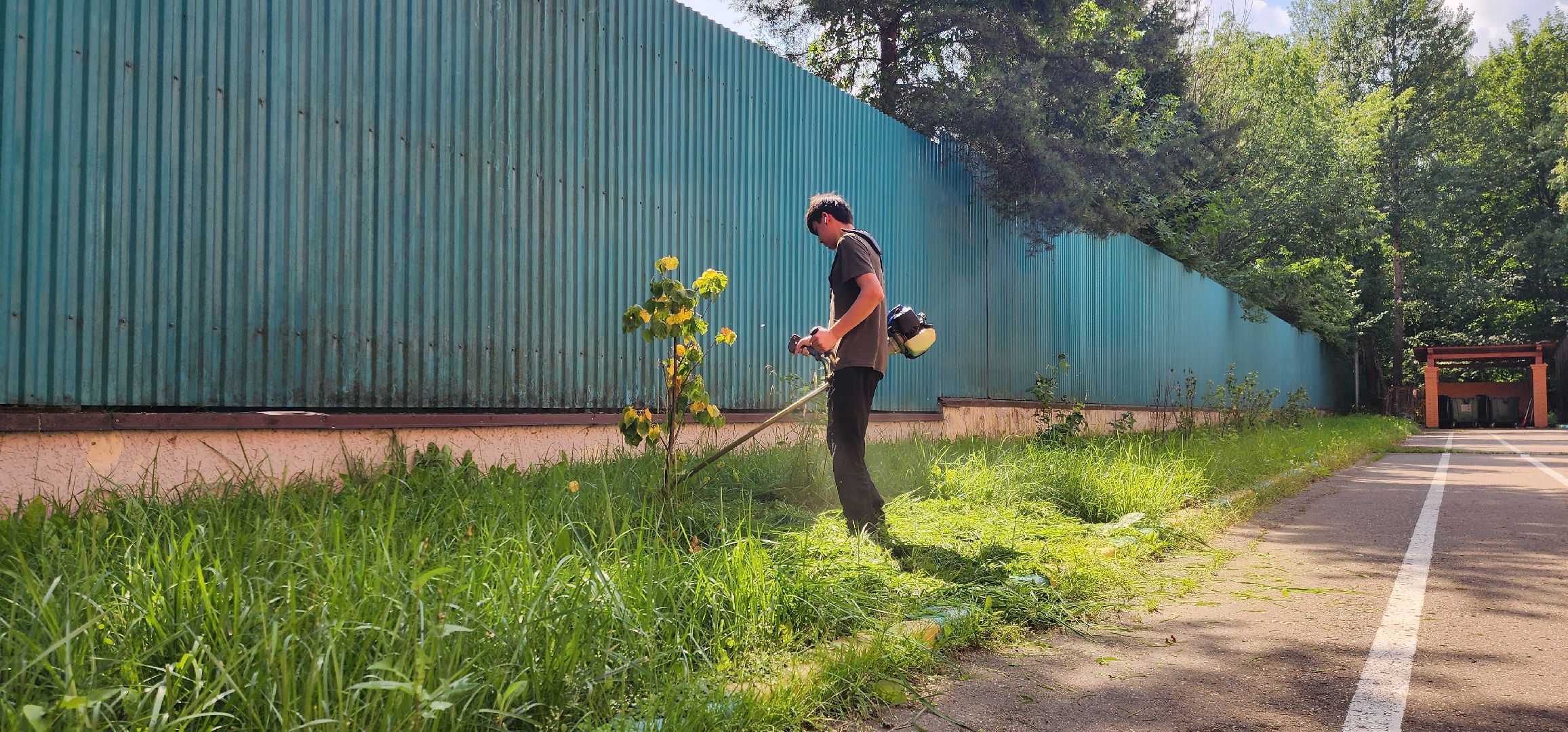 Химки, Образование , Школы,