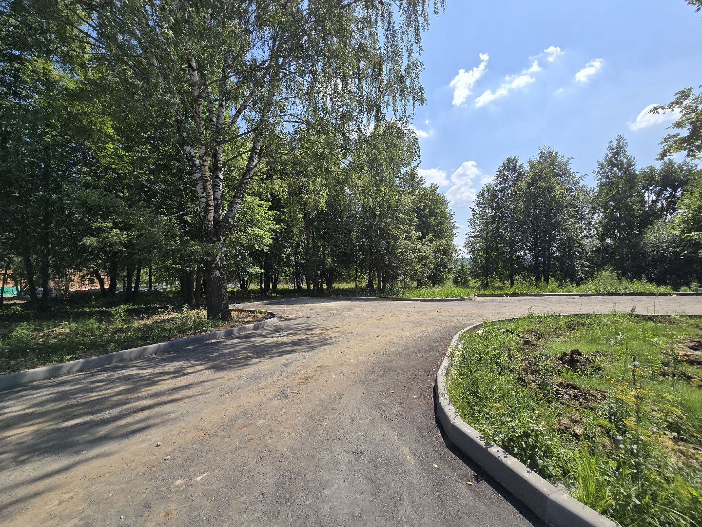 Коломна, благоустройство, парки в лесу,