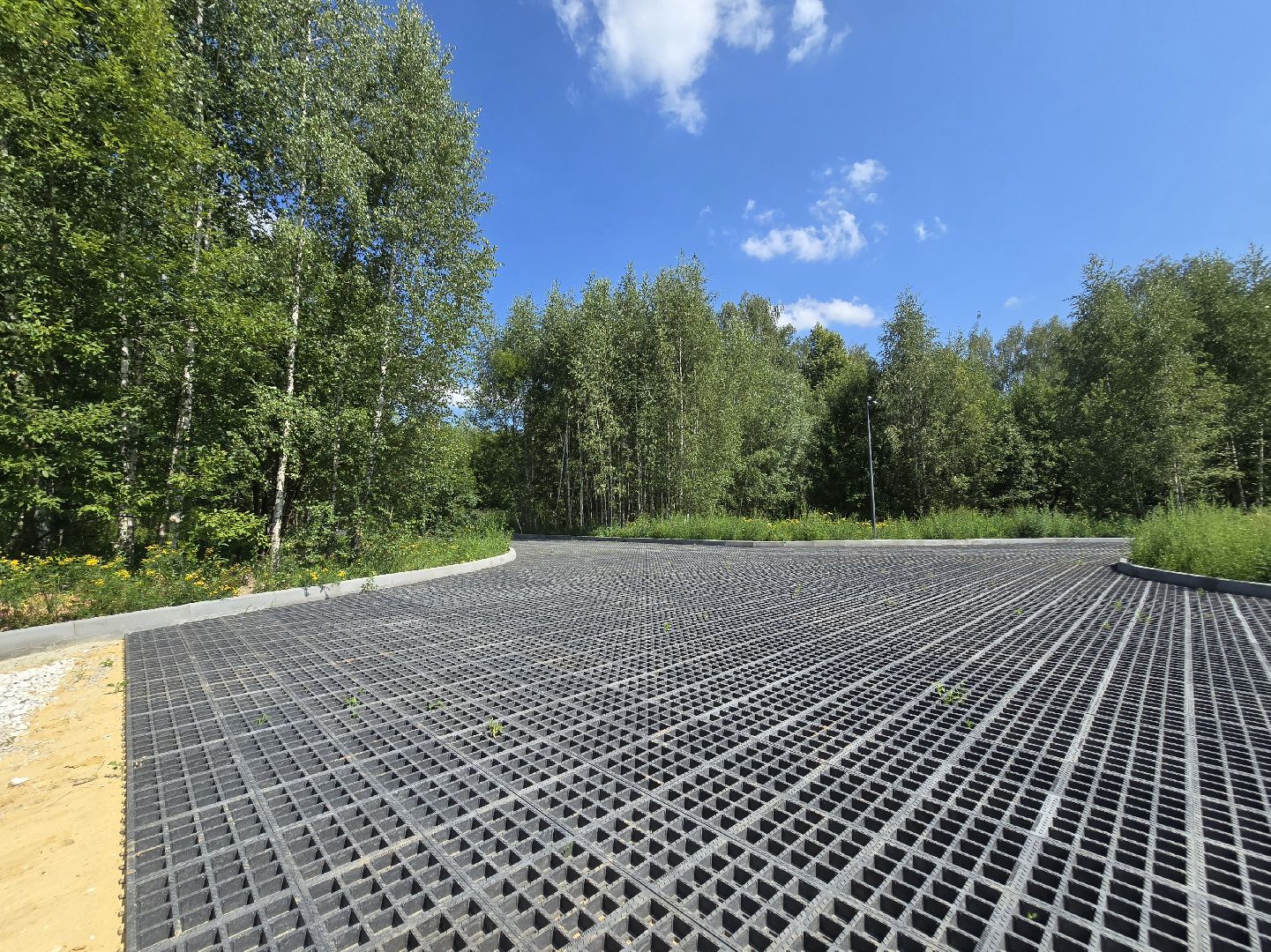 Коломна, благоустройство, парки в лесу,