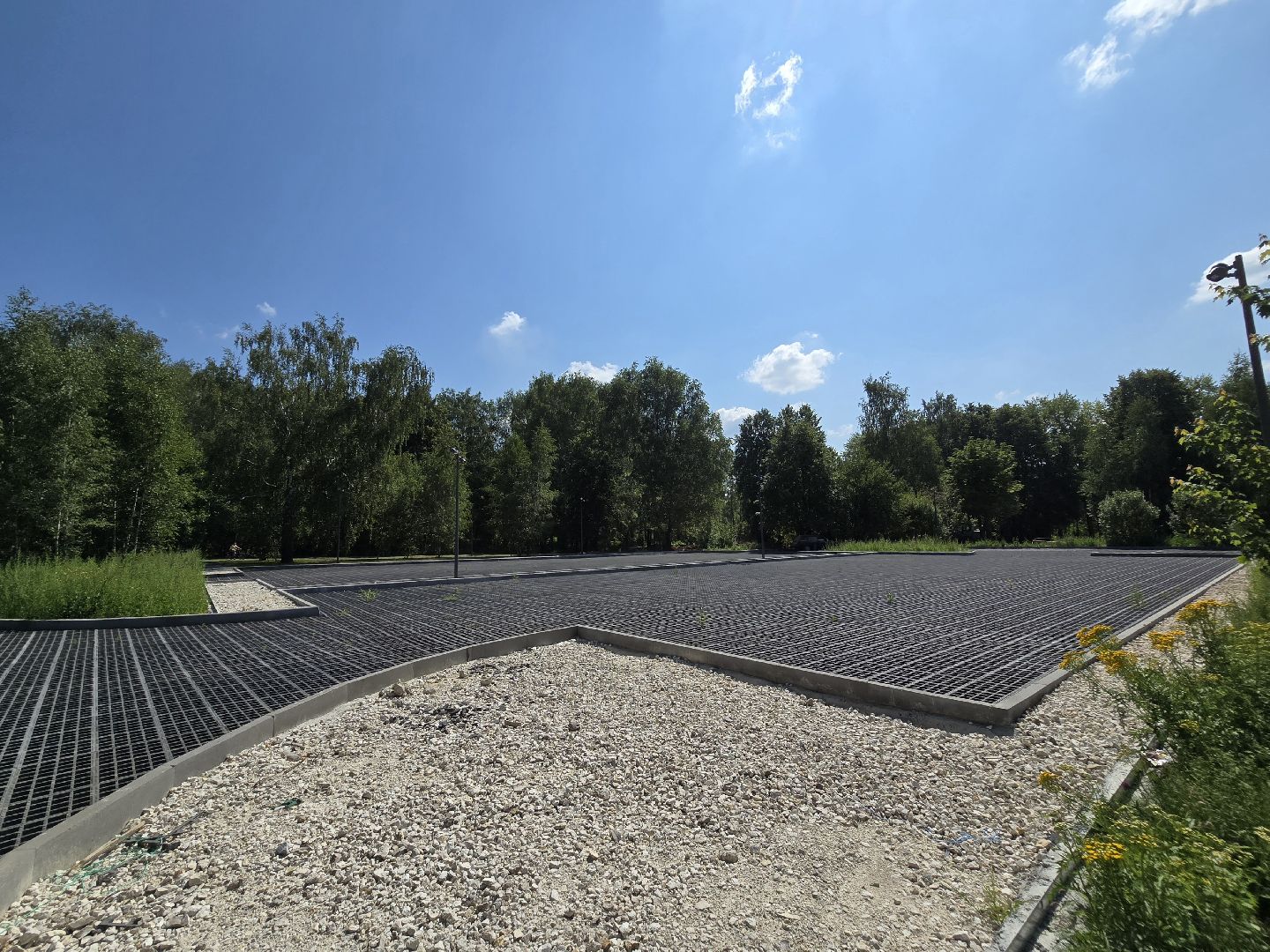 Коломна, благоустройство, парки в лесу,