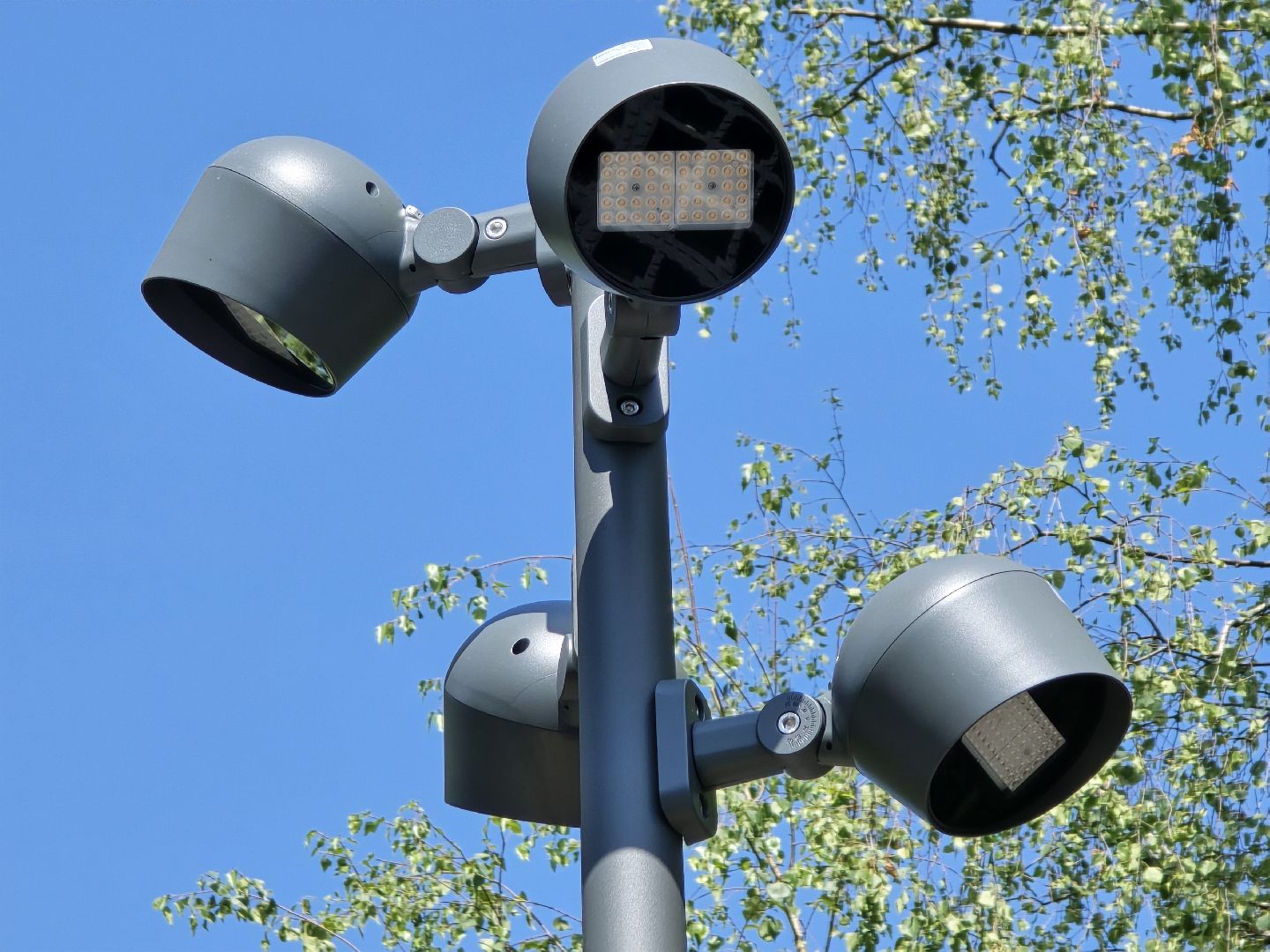 Коломна, благоустройство, парки в лесу,