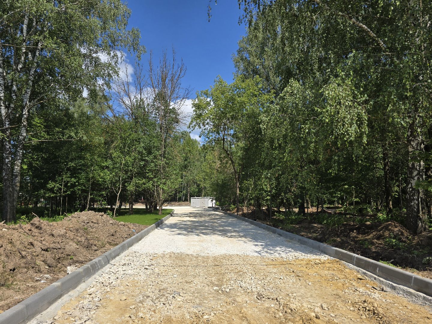 Коломна, благоустройство, парки в лесу,