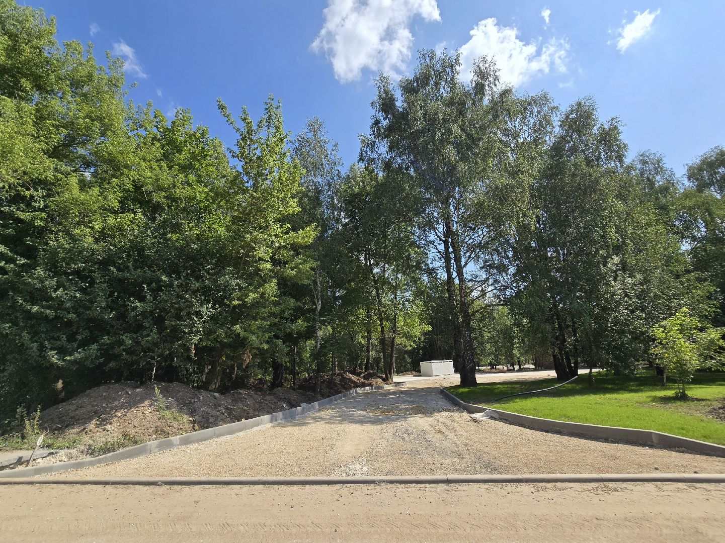 Коломна, благоустройство, парки в лесу,