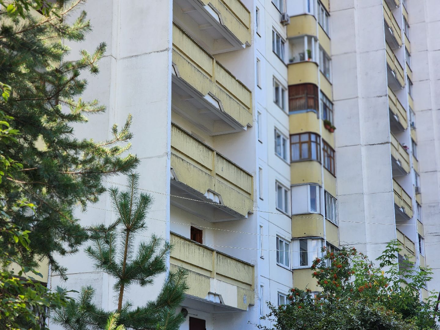 королёв, выездная администрация в королеве , центральный городской парк ,