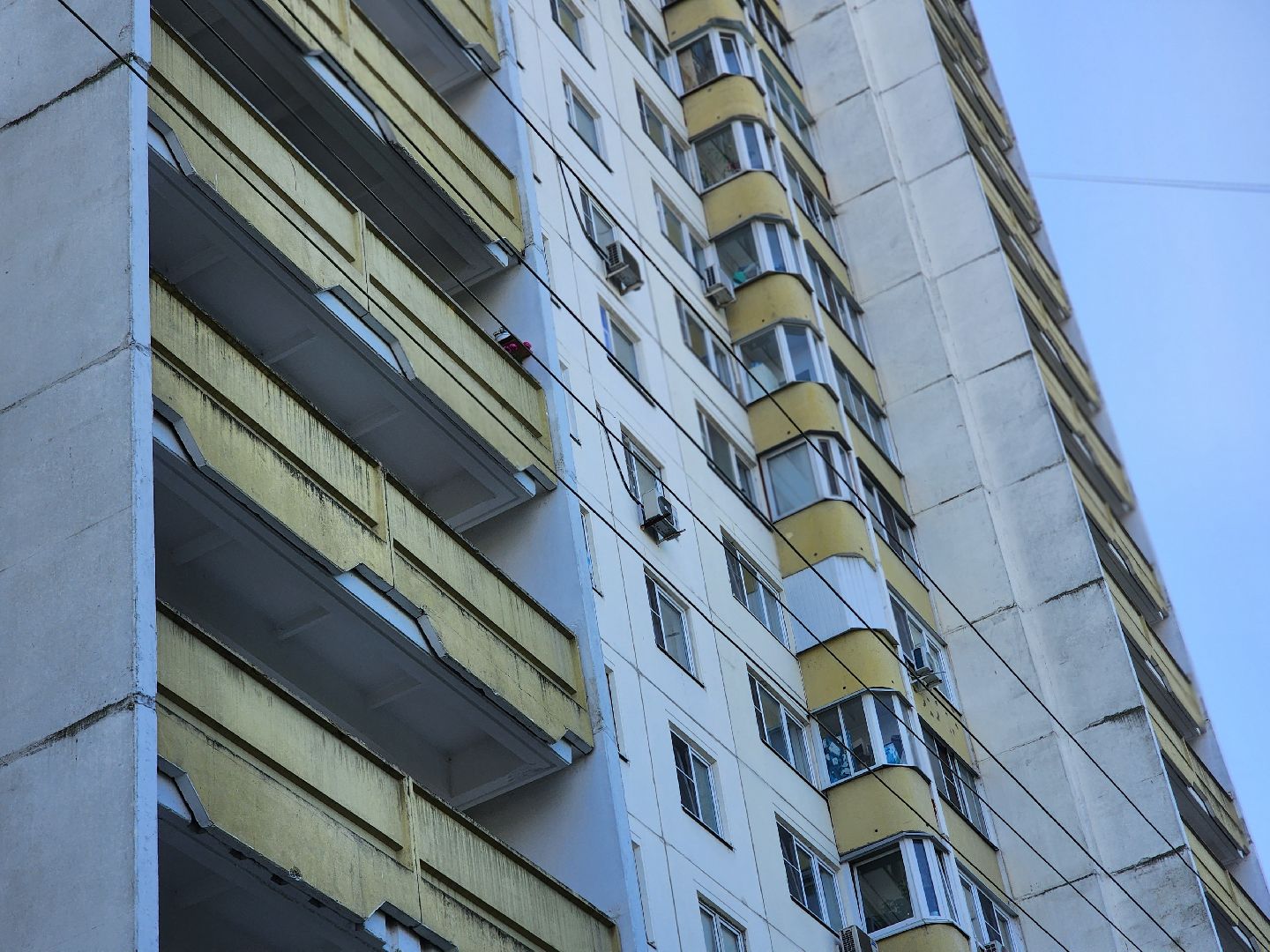 королёв, выездная администрация в королеве , центральный городской парк ,