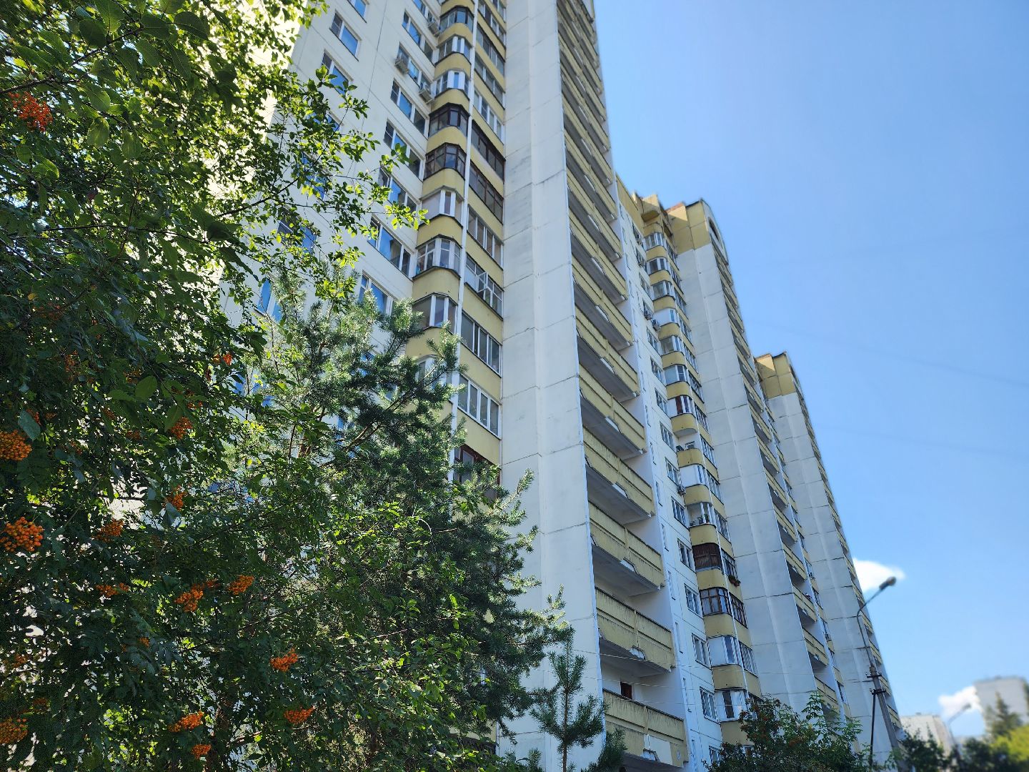 королёв, выездная администрация в королеве , центральный городской парк ,