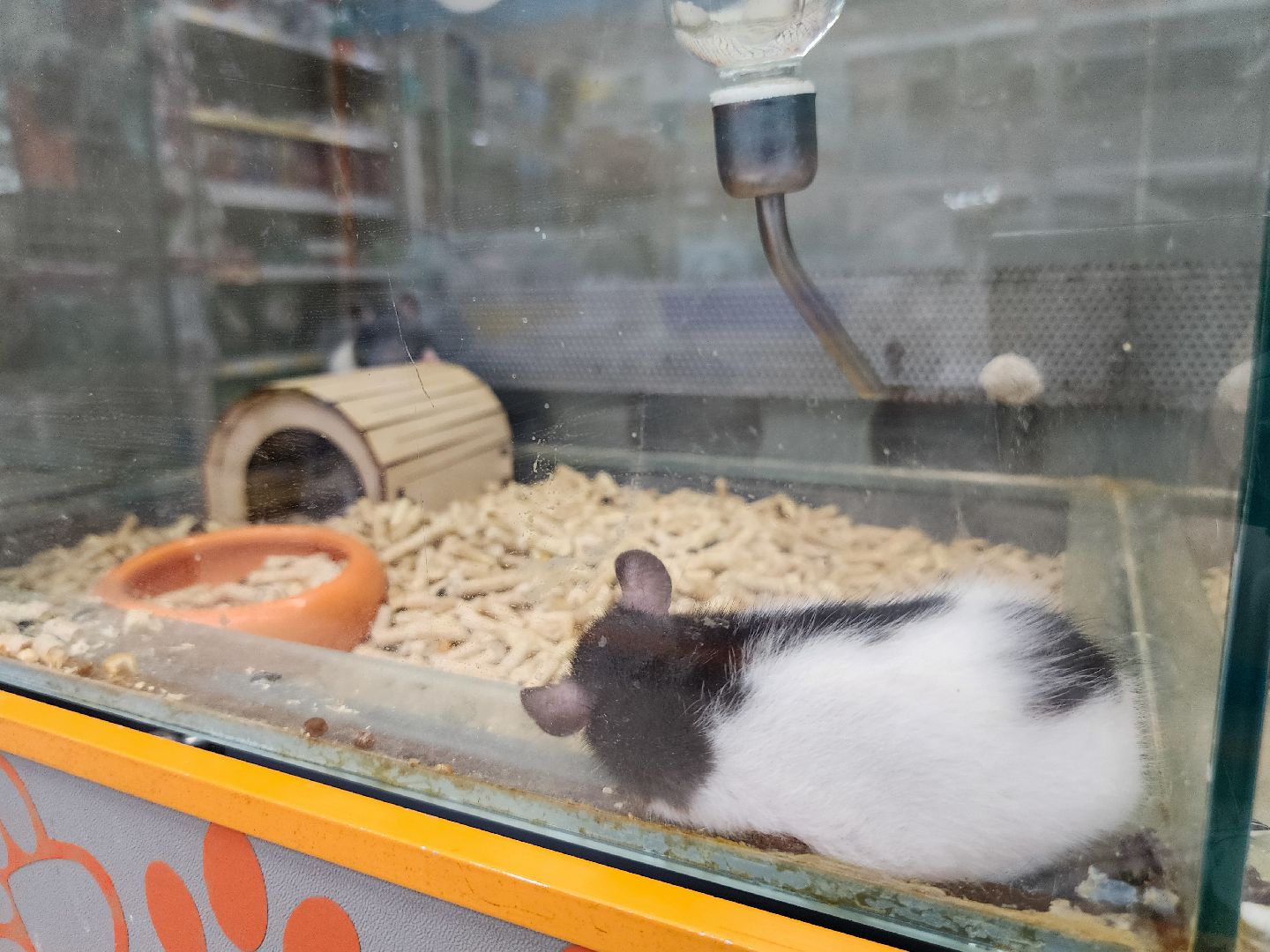 Подольск, Кадровый центр Подмосковья, Работа России, Работа подростков летом, несовершеннолетние,