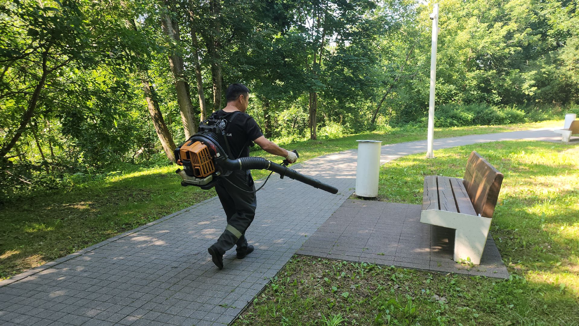 Истра, Парк,  уборка, Благоустройство,