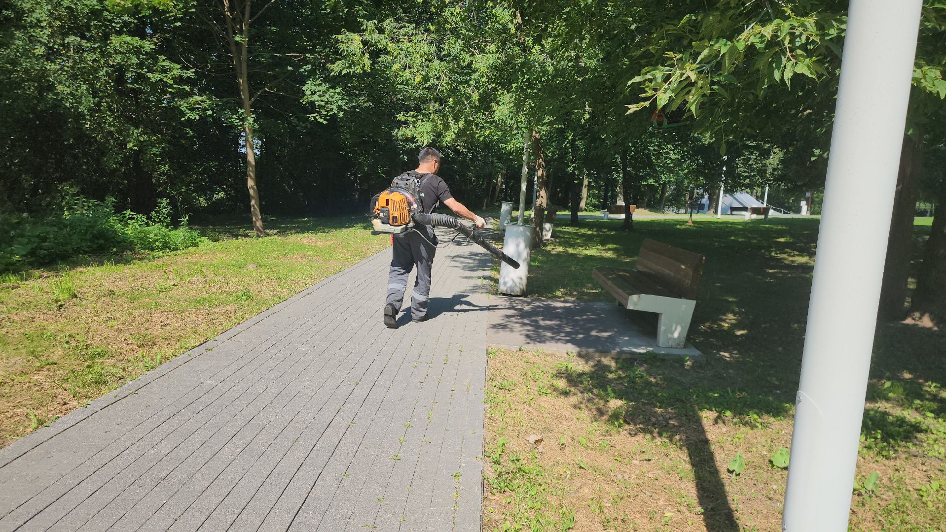 Истра, Парк,  уборка, Благоустройство,