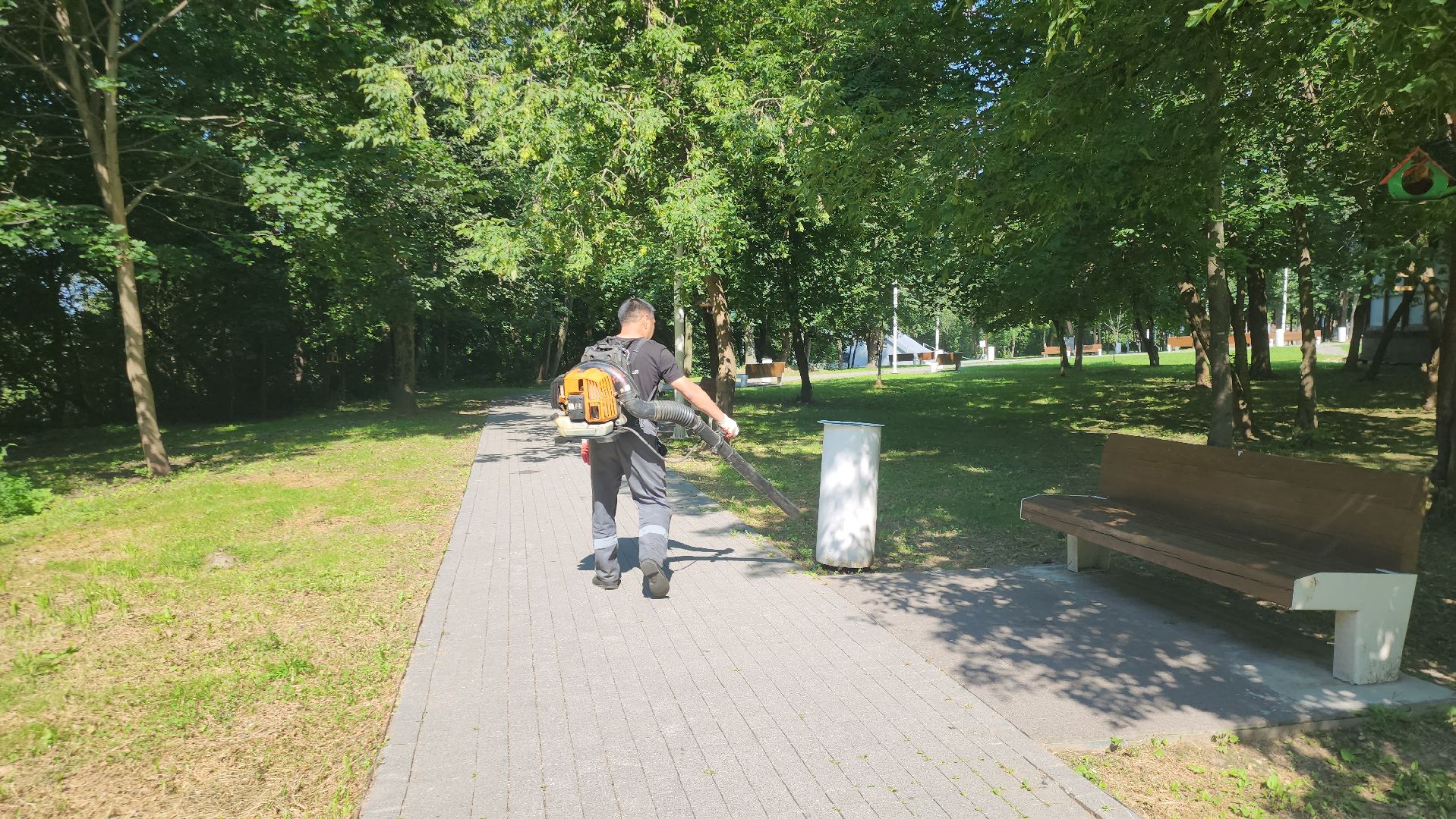 Истра, Парк,  уборка, Благоустройство,