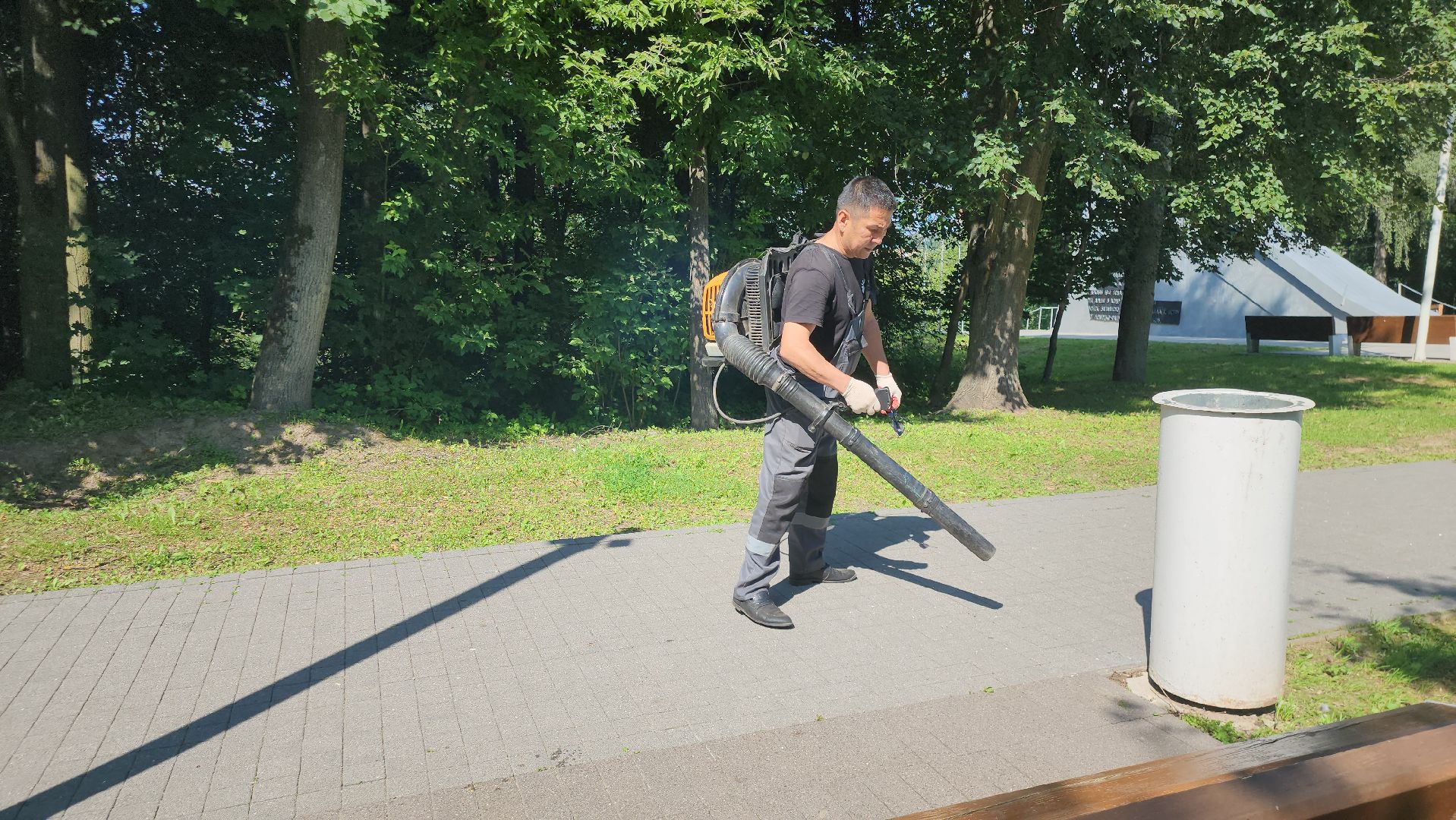 Истра, Парк,  уборка, Благоустройство,