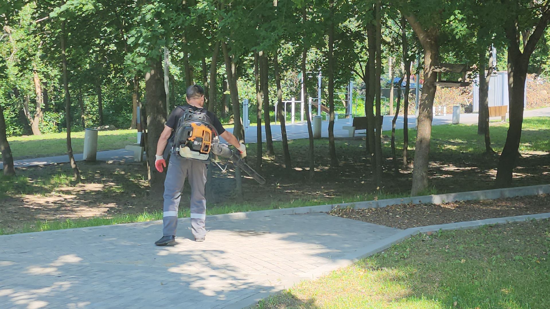 Истра, Парк,  уборка, Благоустройство,