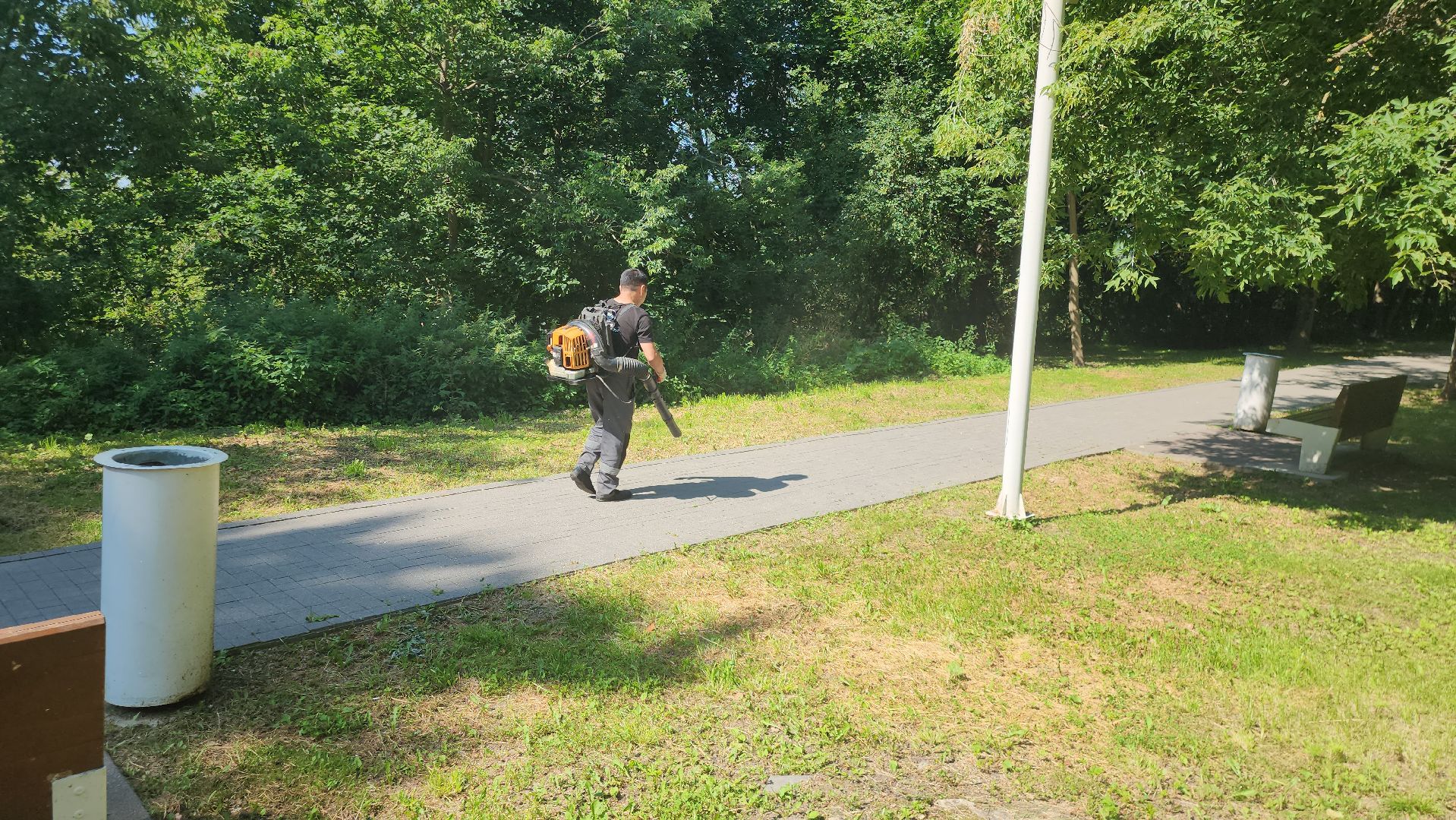 Истра, Парк,  уборка, Благоустройство,