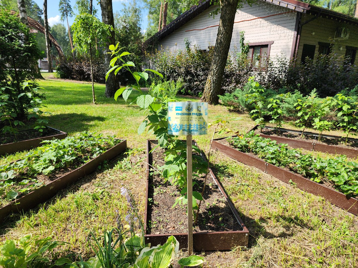 туризм, отдых в подмосковье, центральный парк, ногинск, богородский городской округ,