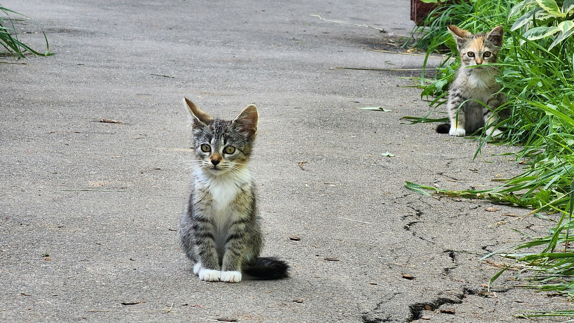 капитальный ремонт, многоквартирные дома, ремонт фасада, ремонт кровли, замена труб, радиаторы, кашира, новоселки,