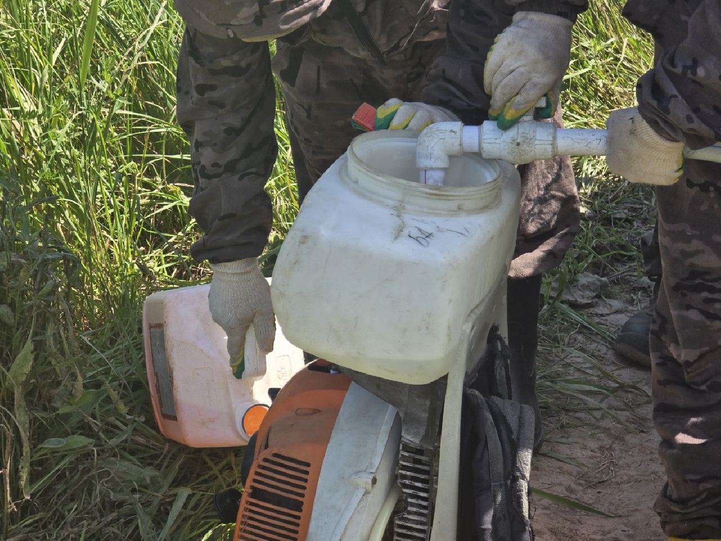 можайск, можайский муниципальный округ, подмосковье, борщевик, борьба с борщевиком, экология, борщевик Сосновского, обращения граждан,