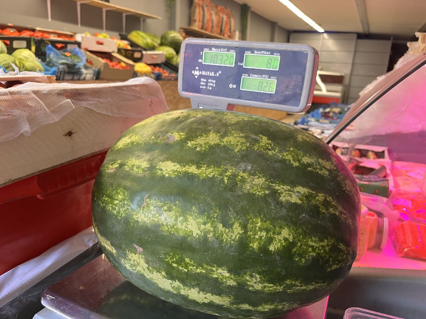 шатура 2025, Шатура, Лето в шатуре, арбуз, арбузный бум,