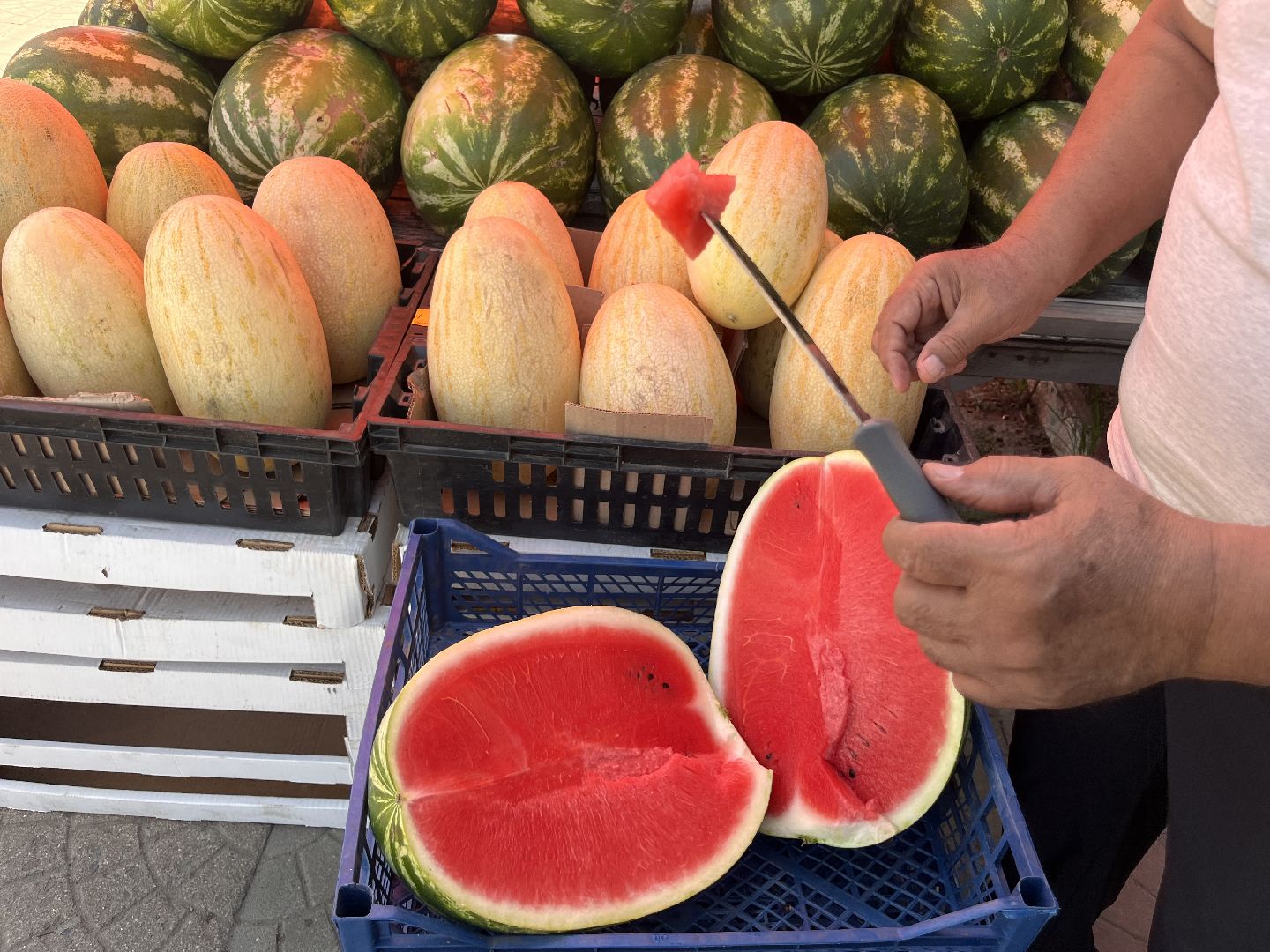 шатура 2025, Шатура, Лето в шатуре, арбуз, арбузный бум,