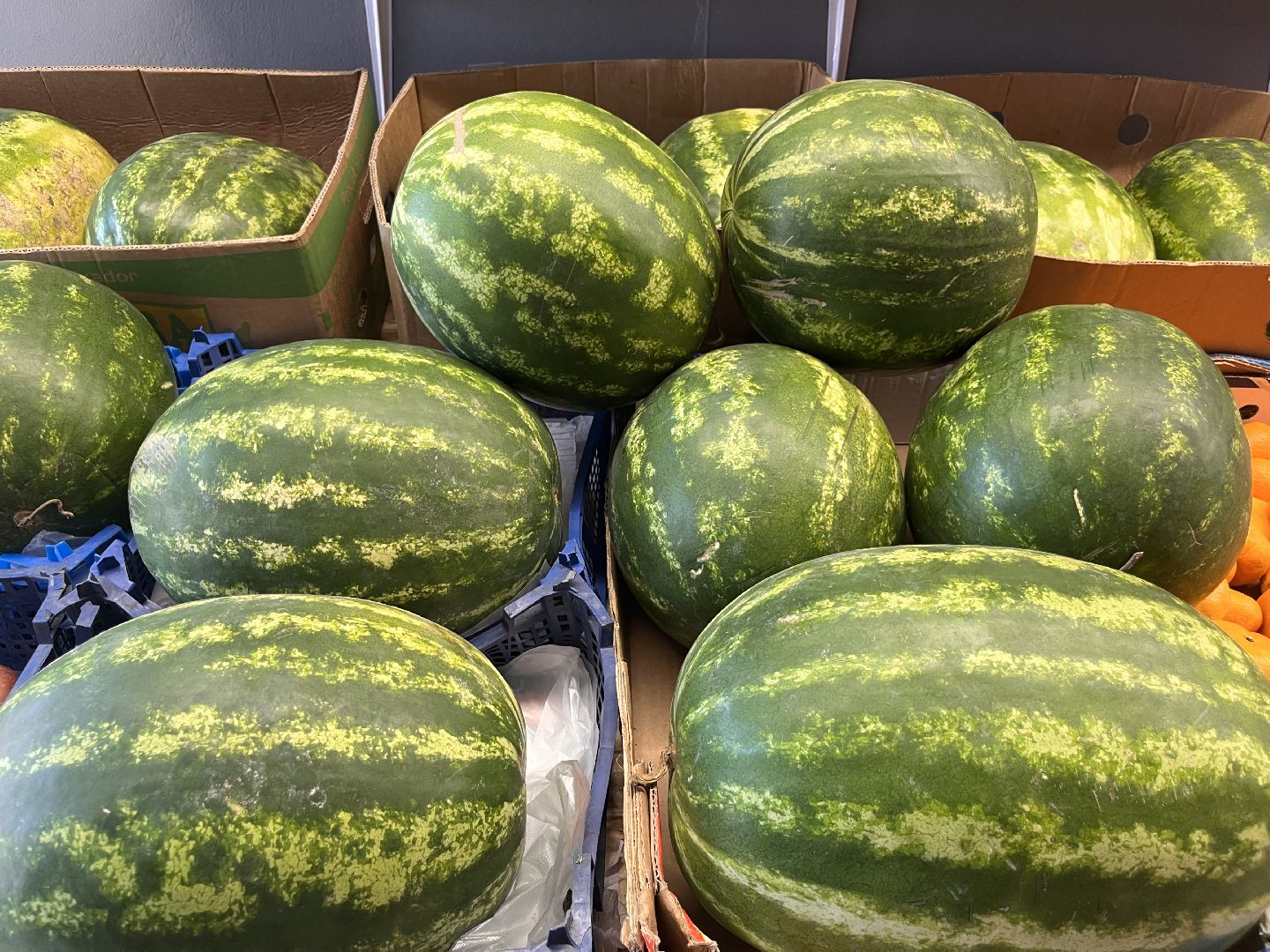 шатура 2025, Шатура, Лето в шатуре, арбуз, арбузный бум,