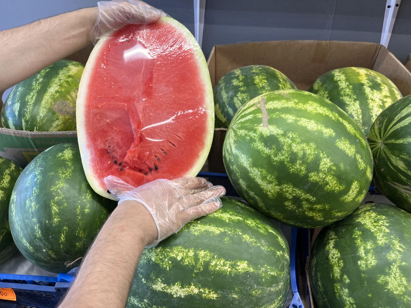 шатура 2025, Шатура, Лето в шатуре, арбуз, арбузный бум,