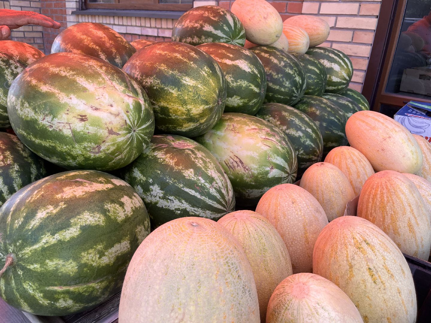 шатура 2025, Шатура, Лето в шатуре, арбуз, арбузный бум,