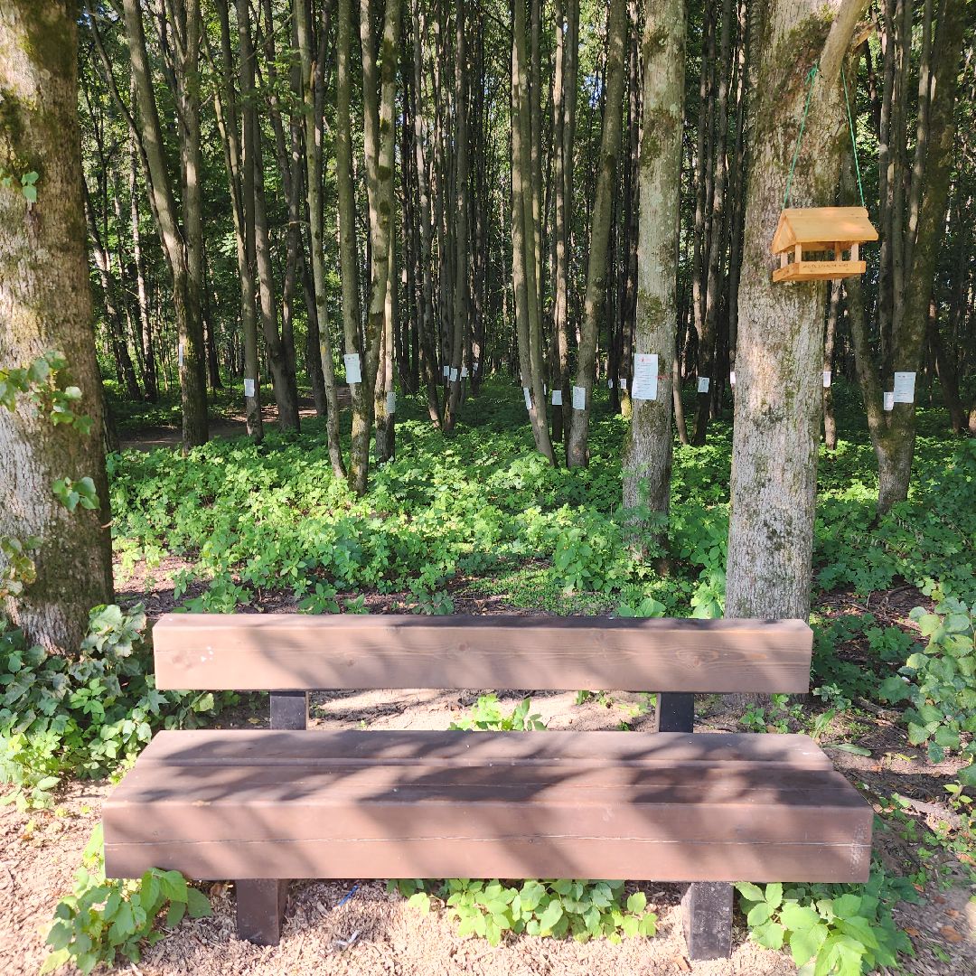 Благоустройство , Парки Звенигорода , Выездная администрация , Личный прием ,