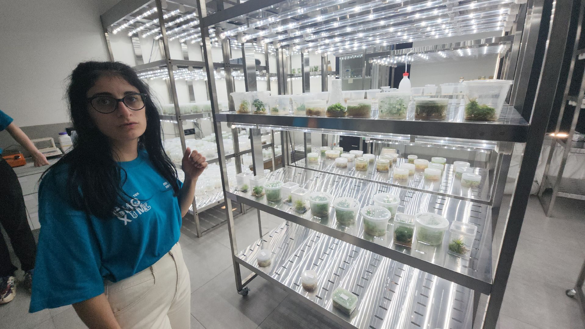 долгопрудный, технопарк физтех-лицея, международная смена, агротехнологии, гидропонная установка, микроклональное размножение растений,растения из пробирки,