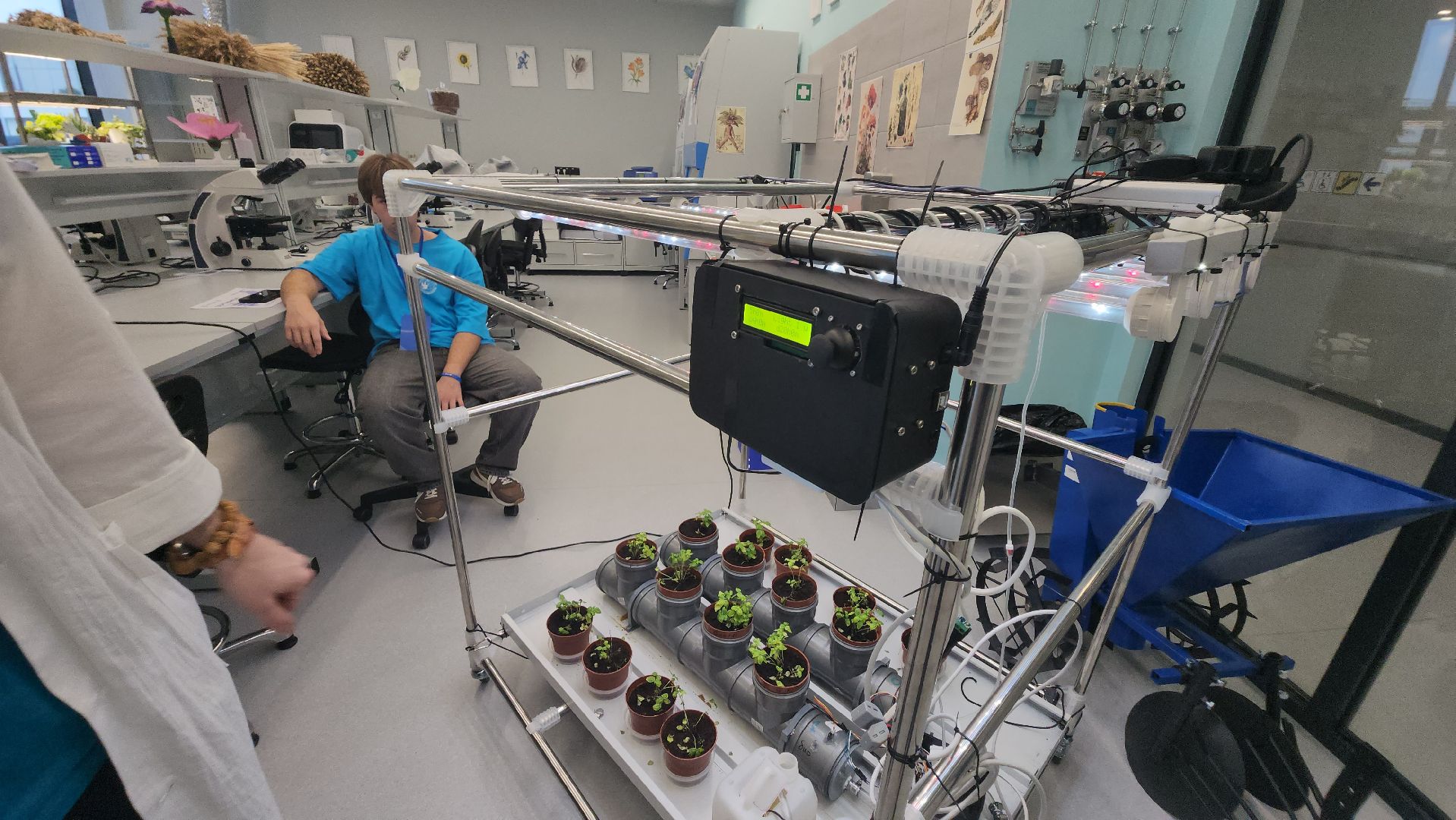 долгопрудный, технопарк физтех-лицея, международная смена, агротехнологии, гидропонная установка, микроклональное размножение растений,растения из пробирки,