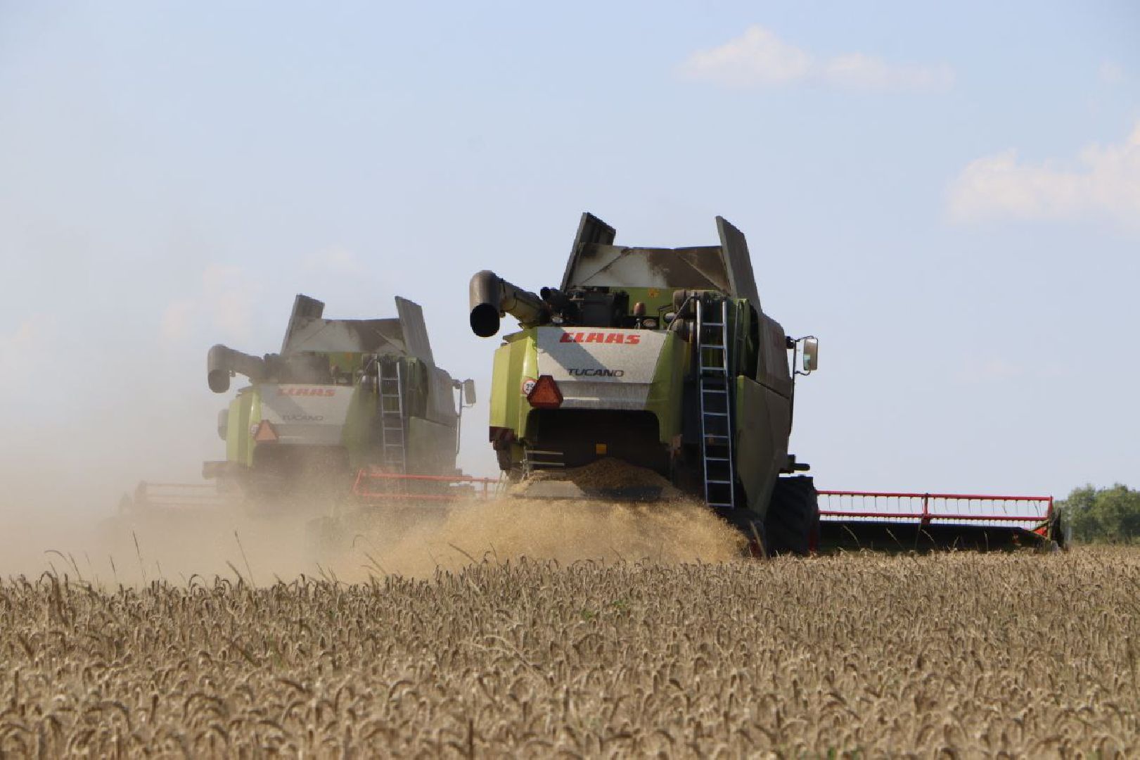 праздник первого снопа,  серебряные пруды, Якимовка, Уборочная 2025,