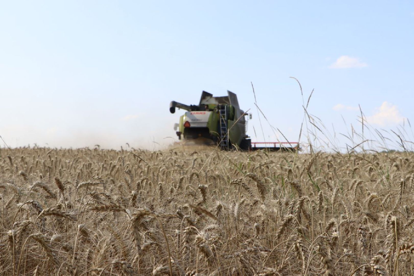праздник первого снопа,  серебряные пруды, Якимовка, Уборочная 2025,