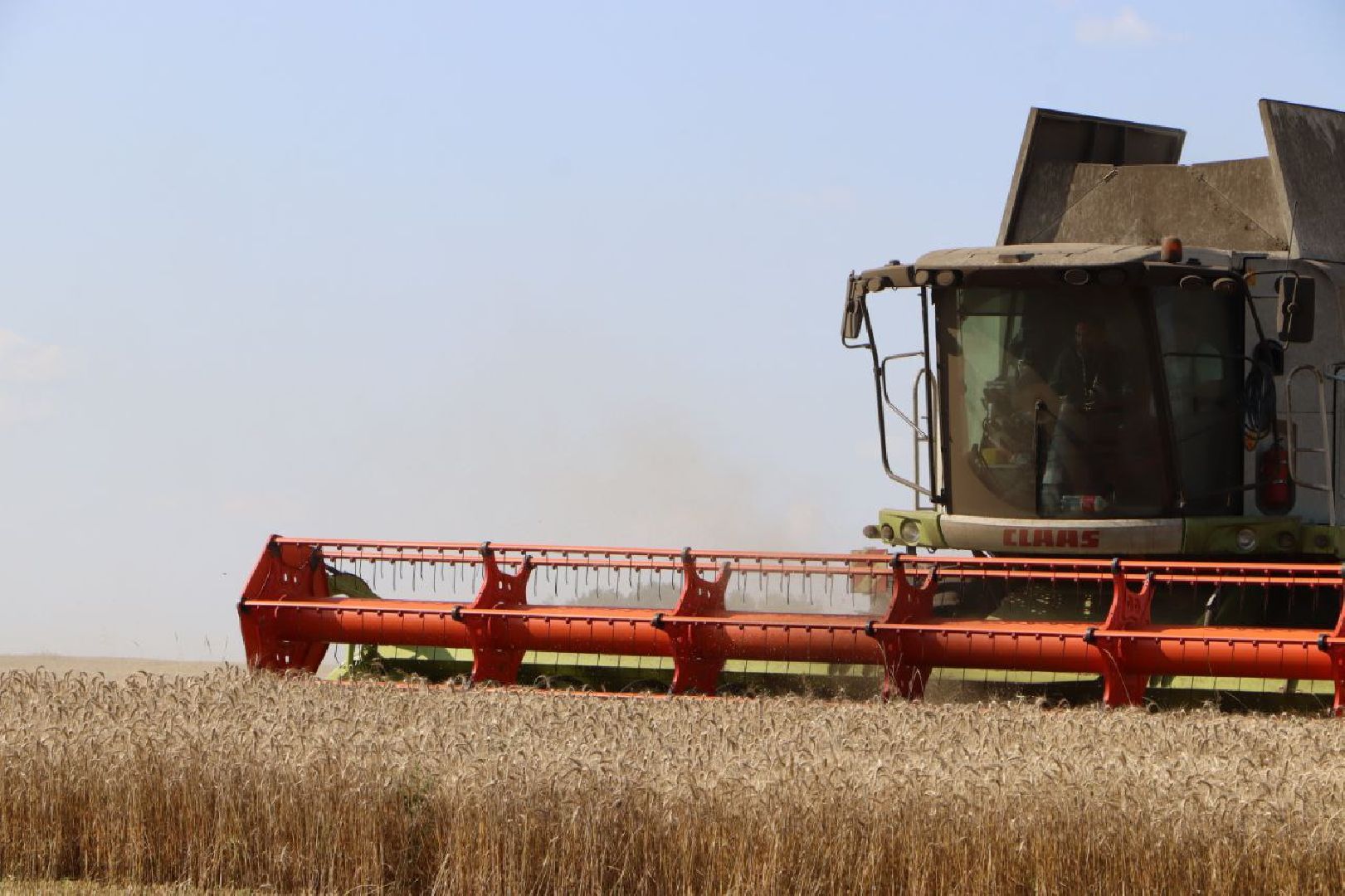 праздник первого снопа,  серебряные пруды, Якимовка, Уборочная 2025,