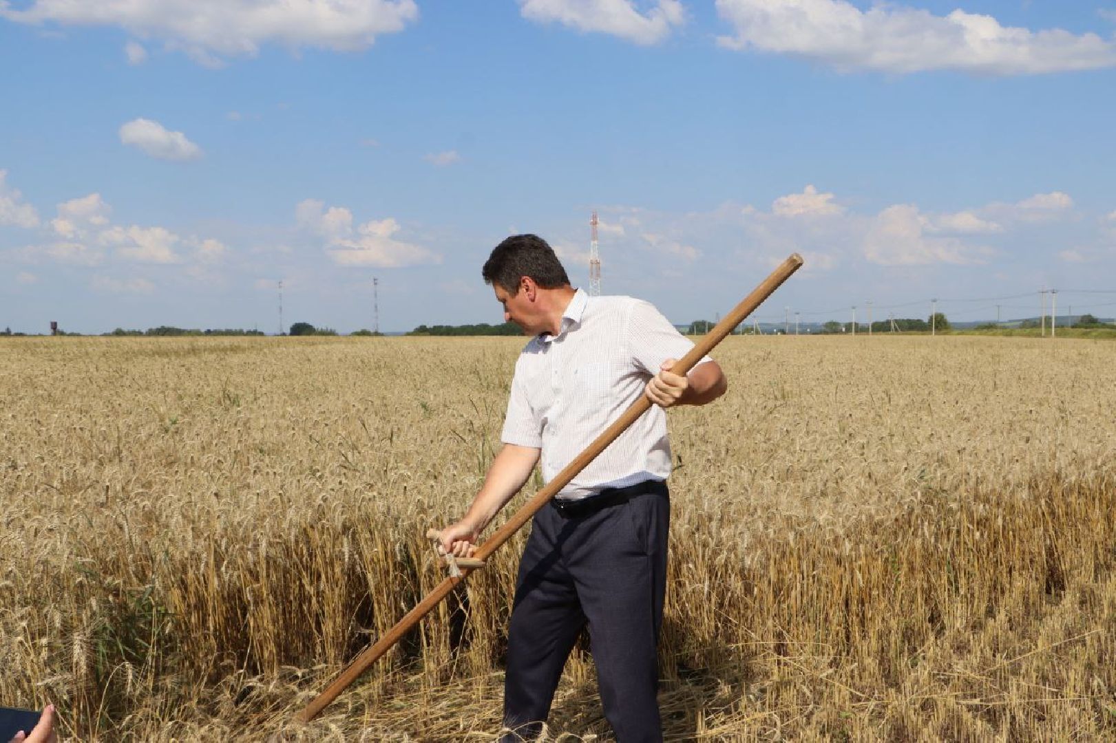 праздник первого снопа,  серебряные пруды, Якимовка, Уборочная 2025,