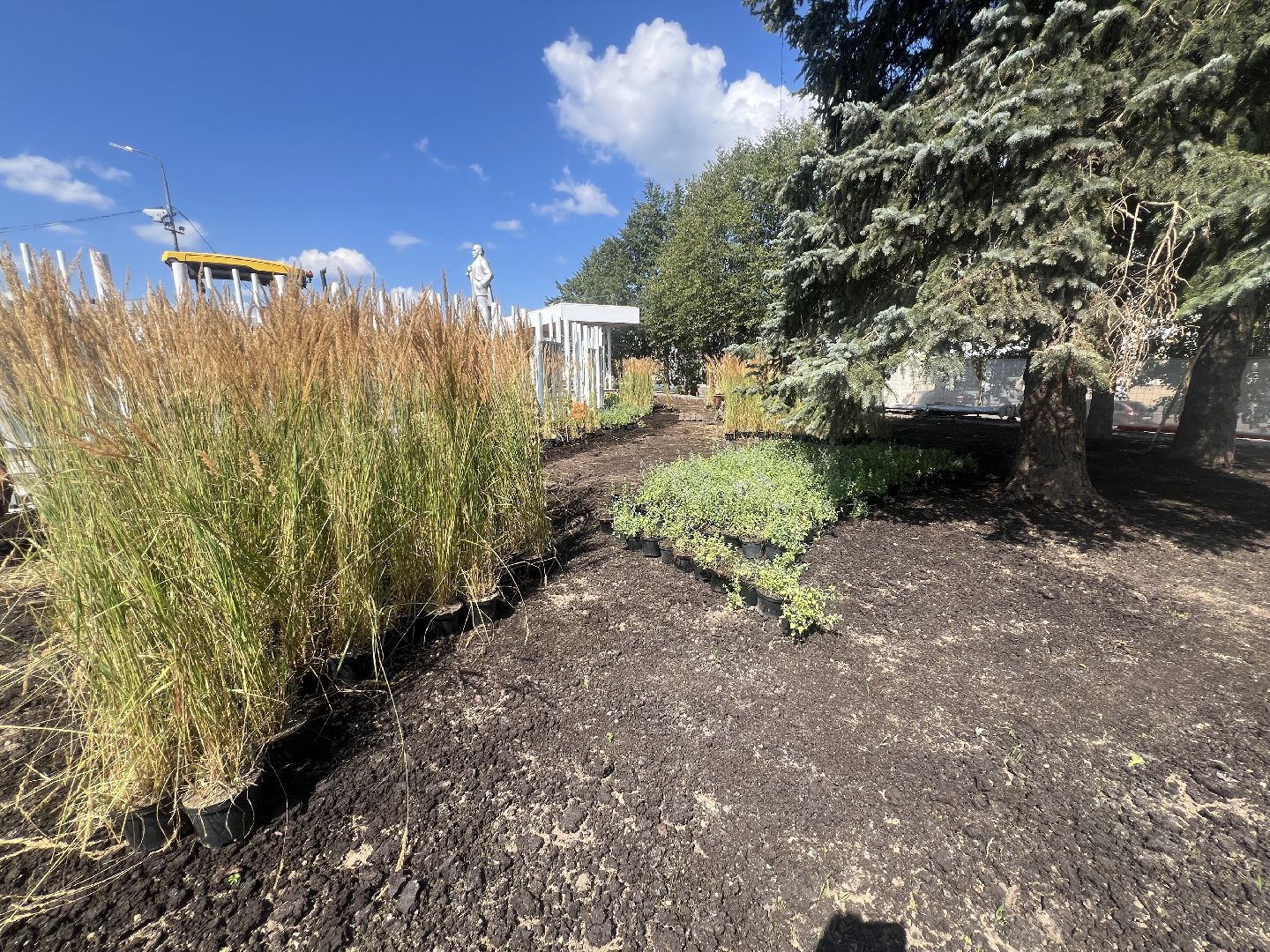 талдомский городской округ, благоустровйство,