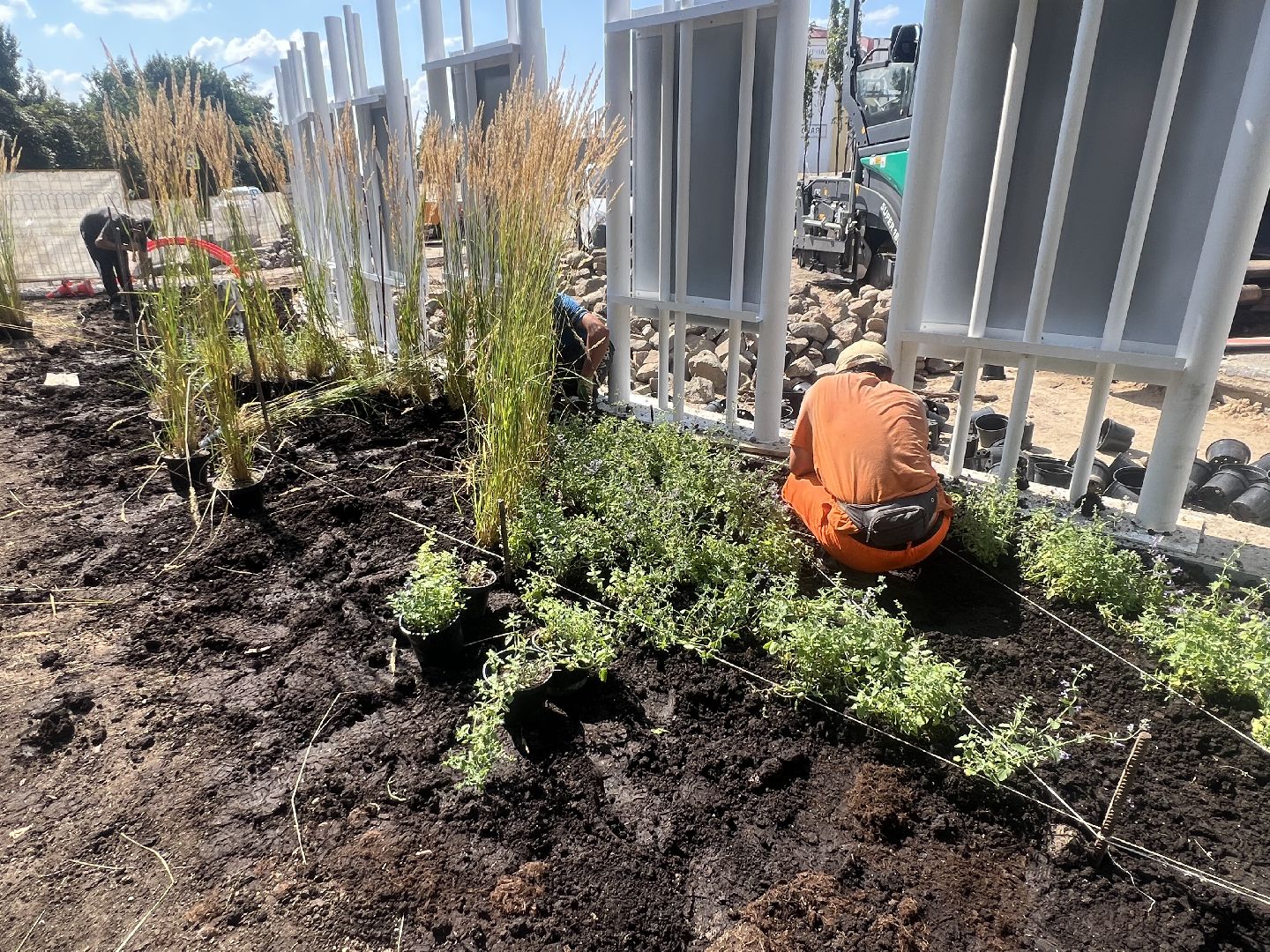 талдомский городской округ, благоустровйство,