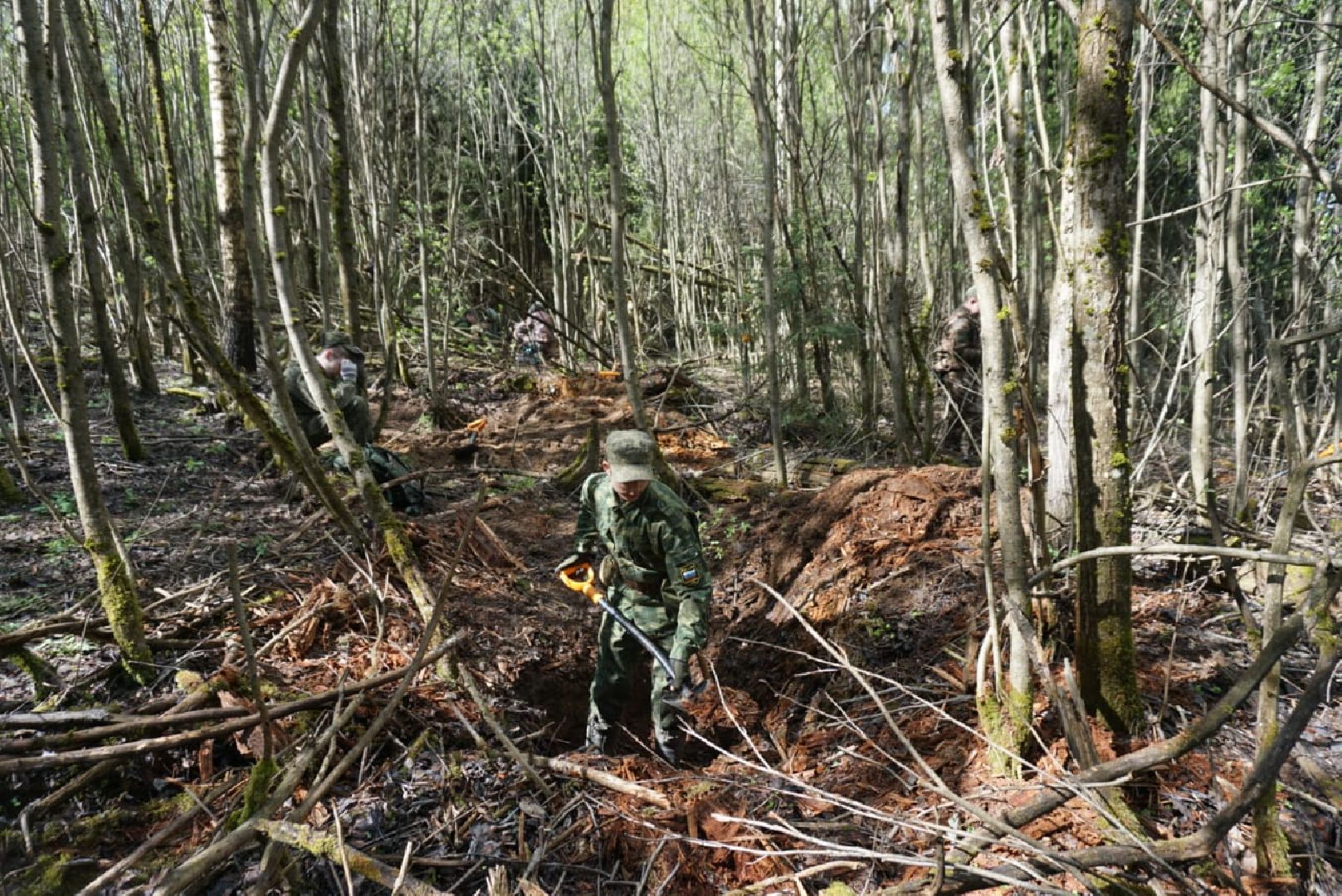 Поисковики, Одинцово, Бушарино, ВОВ