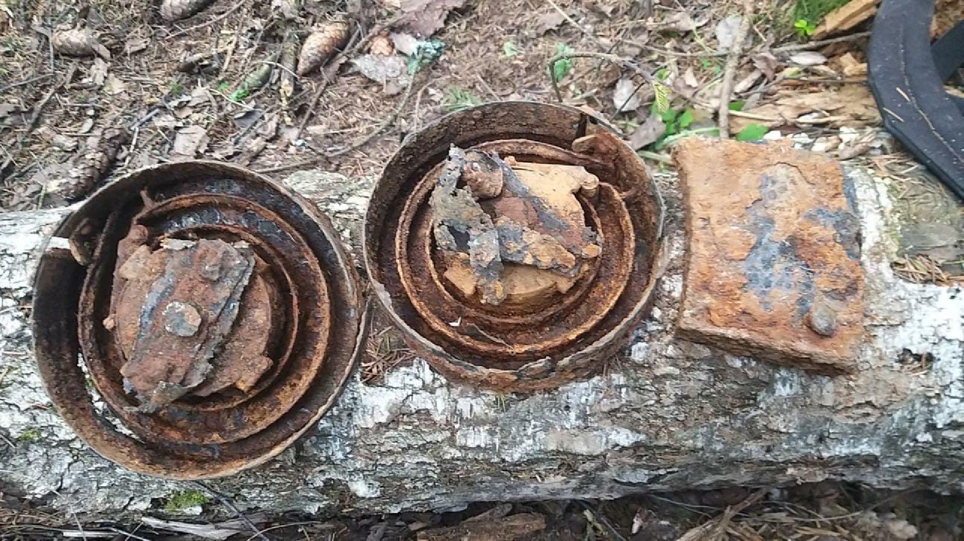 Поисковики, Одинцово, Бушарино, ВОВ