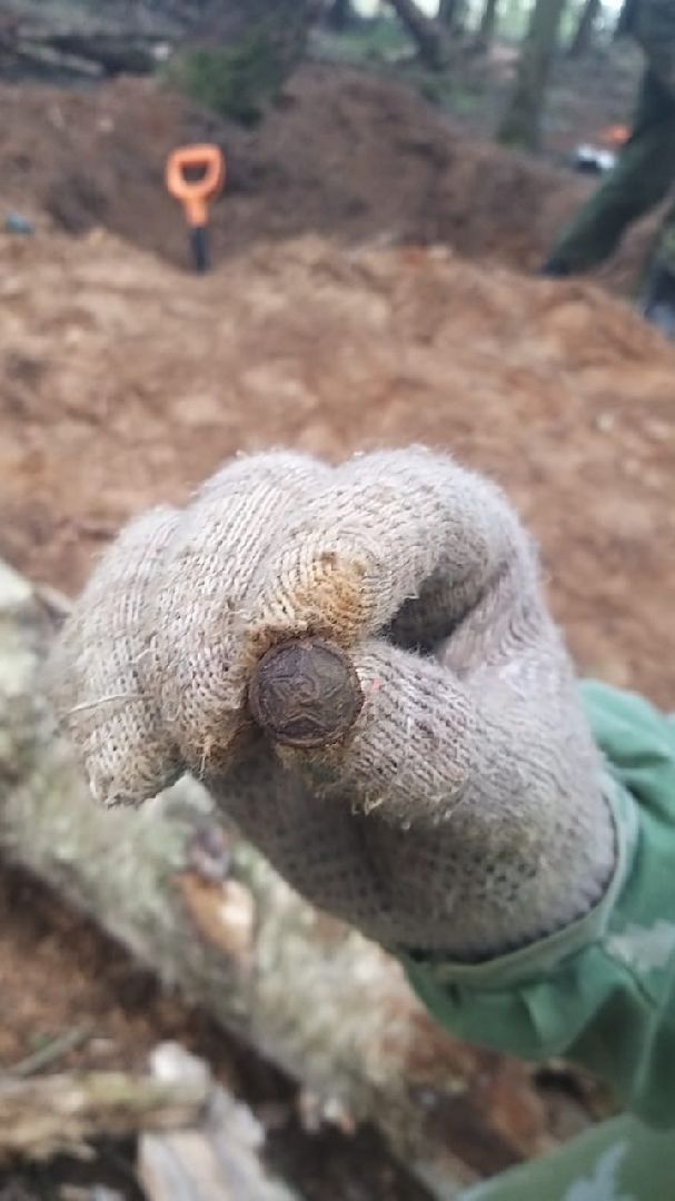 Поисковики, Одинцово, Бушарино, ВОВ